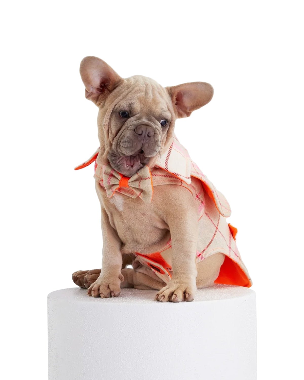 Tartan Dog Coat