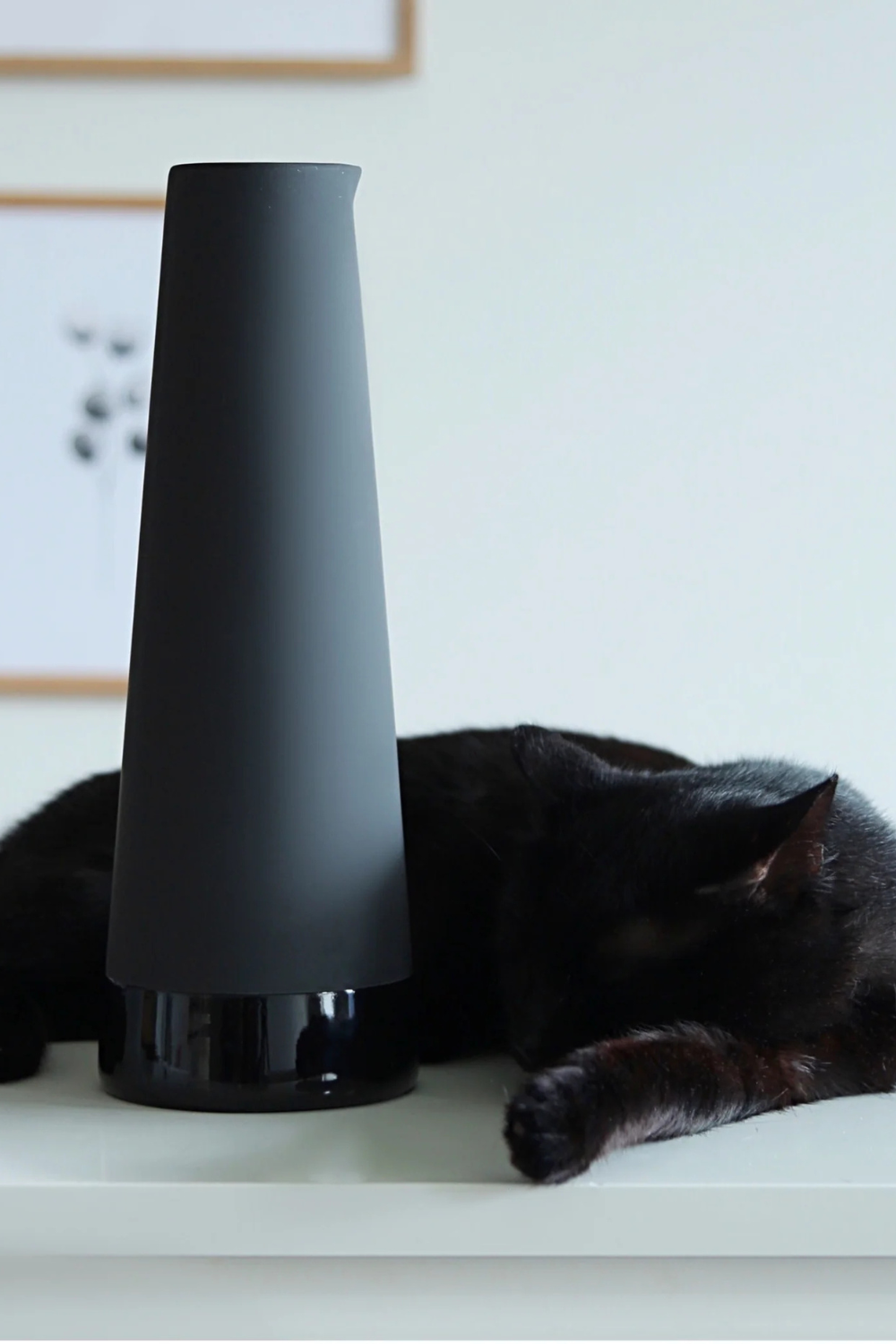 Magisso-Carafe-Sürahi-3-Milagron.com