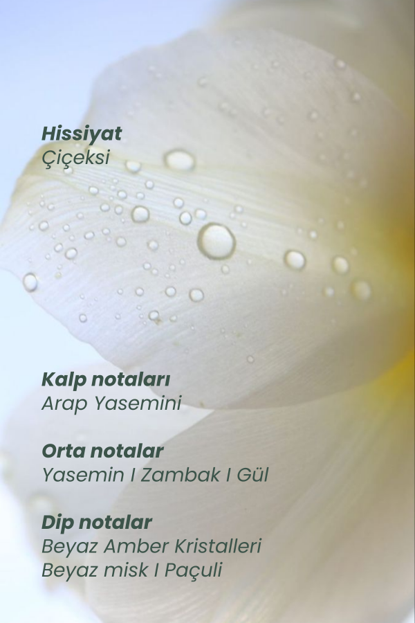 Intensive Repair | Onarım & İMza Koku 4’Lü Set (Şampuan + Maske + Serum + Myth)