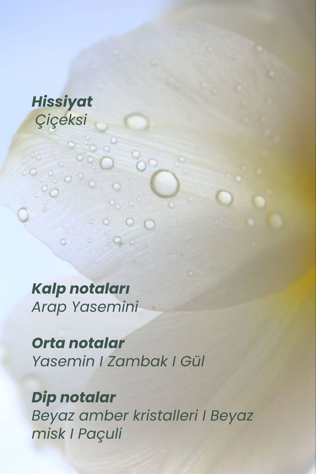 Myth Saç Parfümü | Çiçeksi Notalar