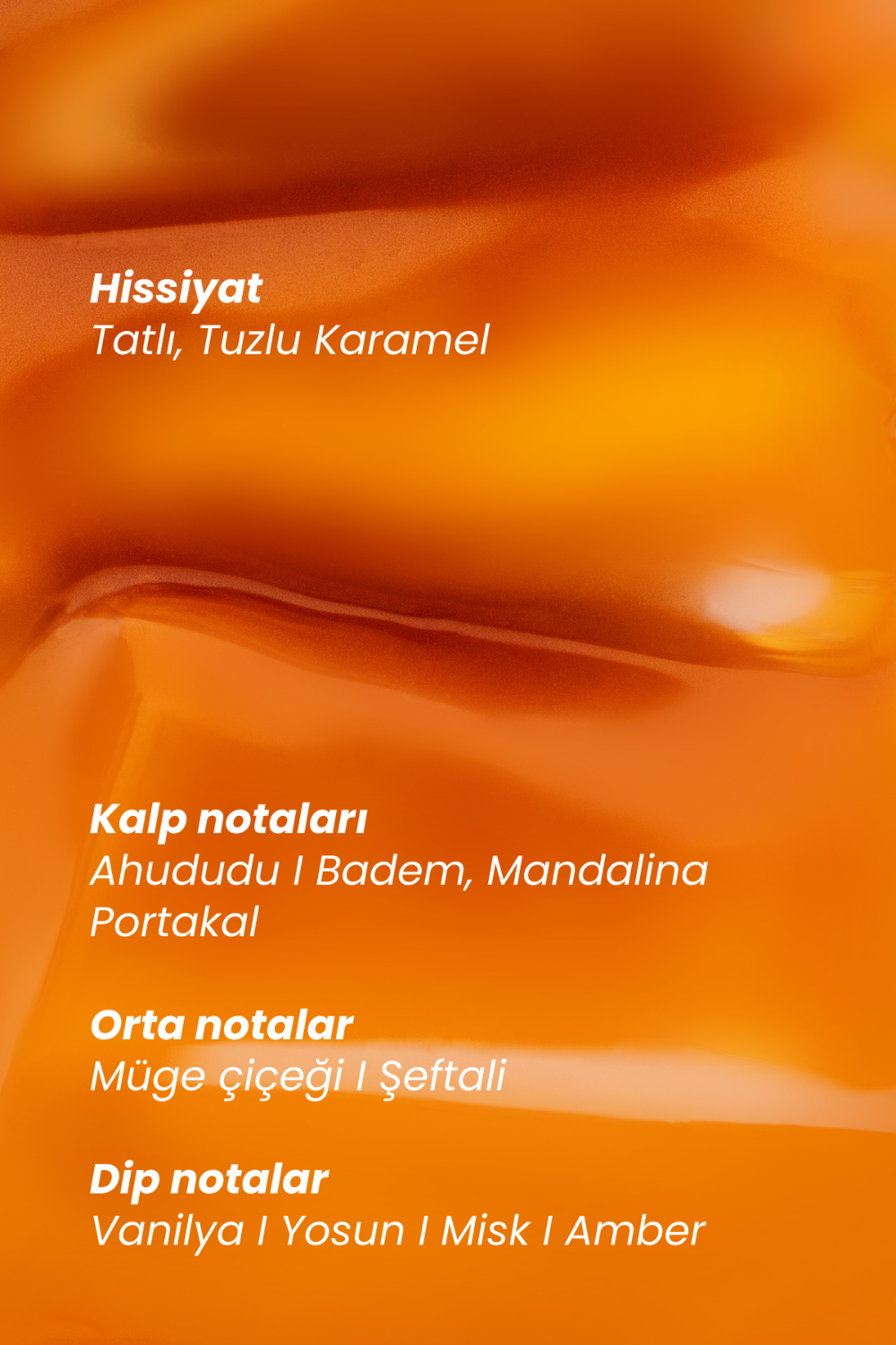 Matsu-Salted Spirit Saç Ve Vücut Misti I Meyvemsi Ve Vanilyalı Notalar I 50 ml-Saç Parfümü-3-Milagron.com