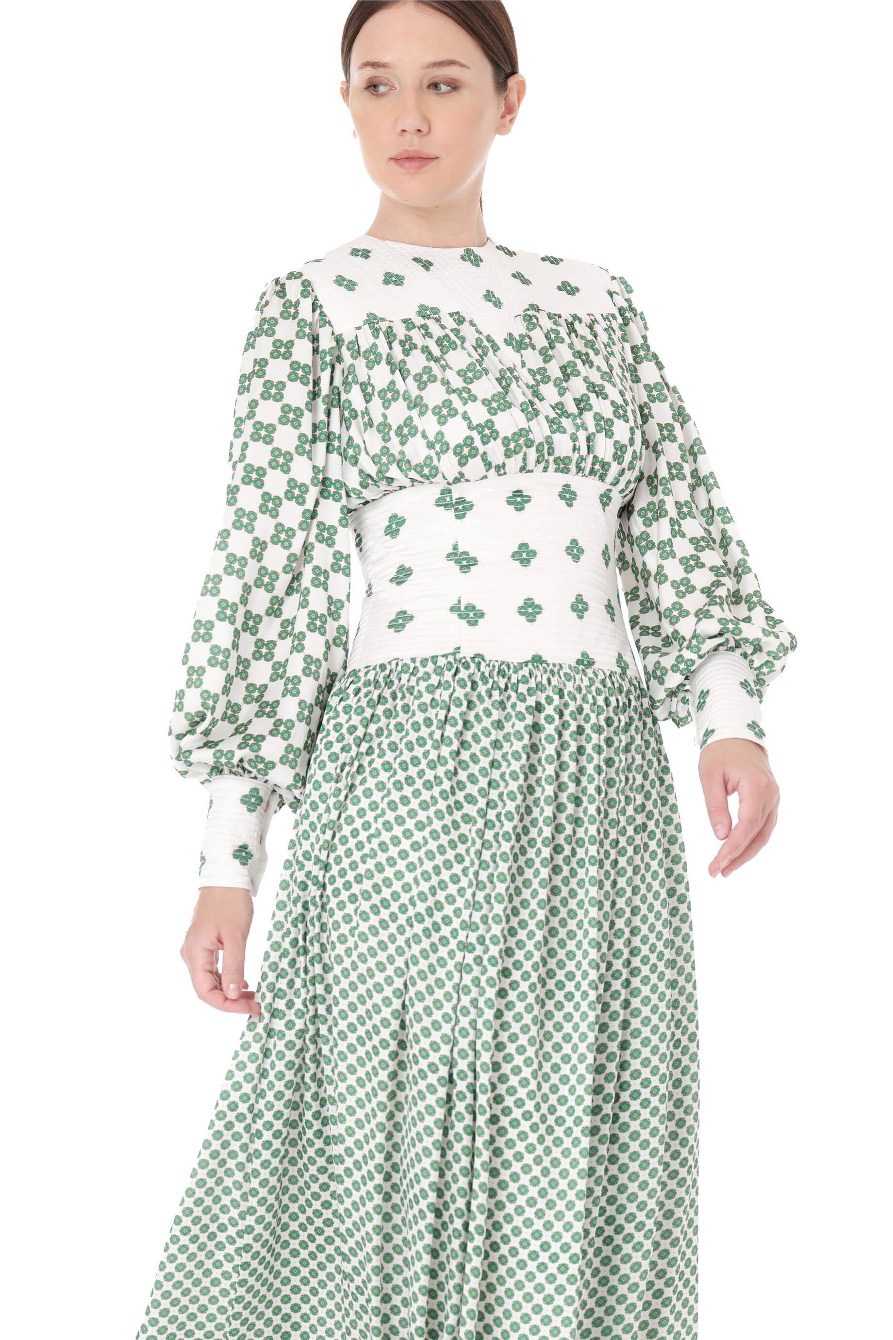 Miha-Nakış Detaylı Di̇ji̇tal Baskı Uzun Elbi̇se-Elbise-12-Milagron.com