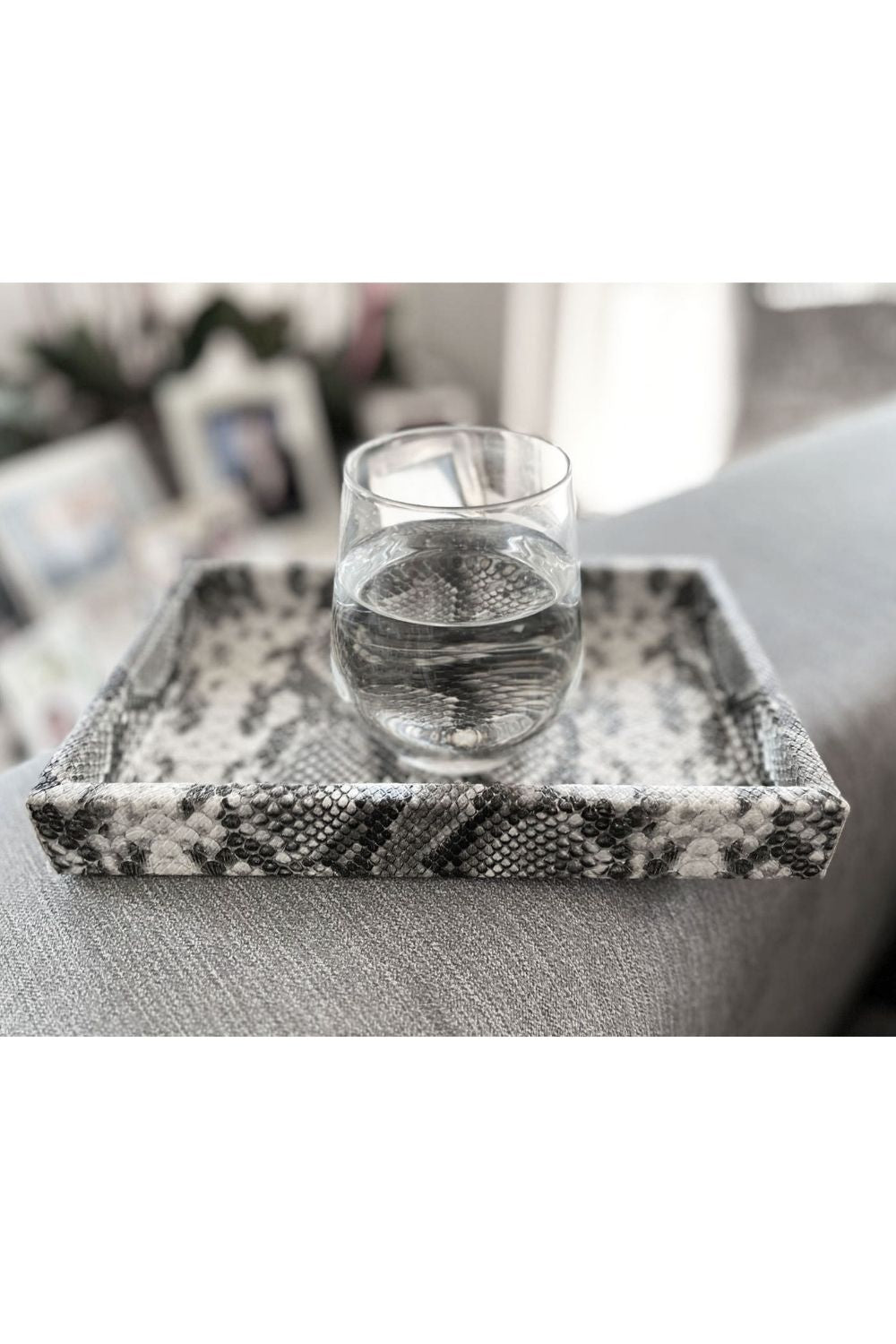 Dekoratif Küçük Boy Yılan Desenli Suni Deri Tepsi - 2