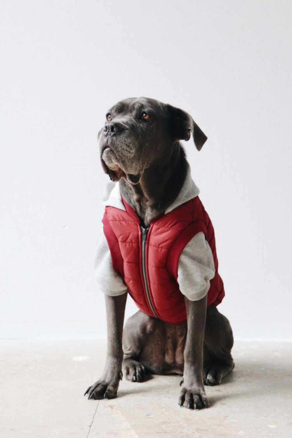 Mons Bons Puffer Mont - 0