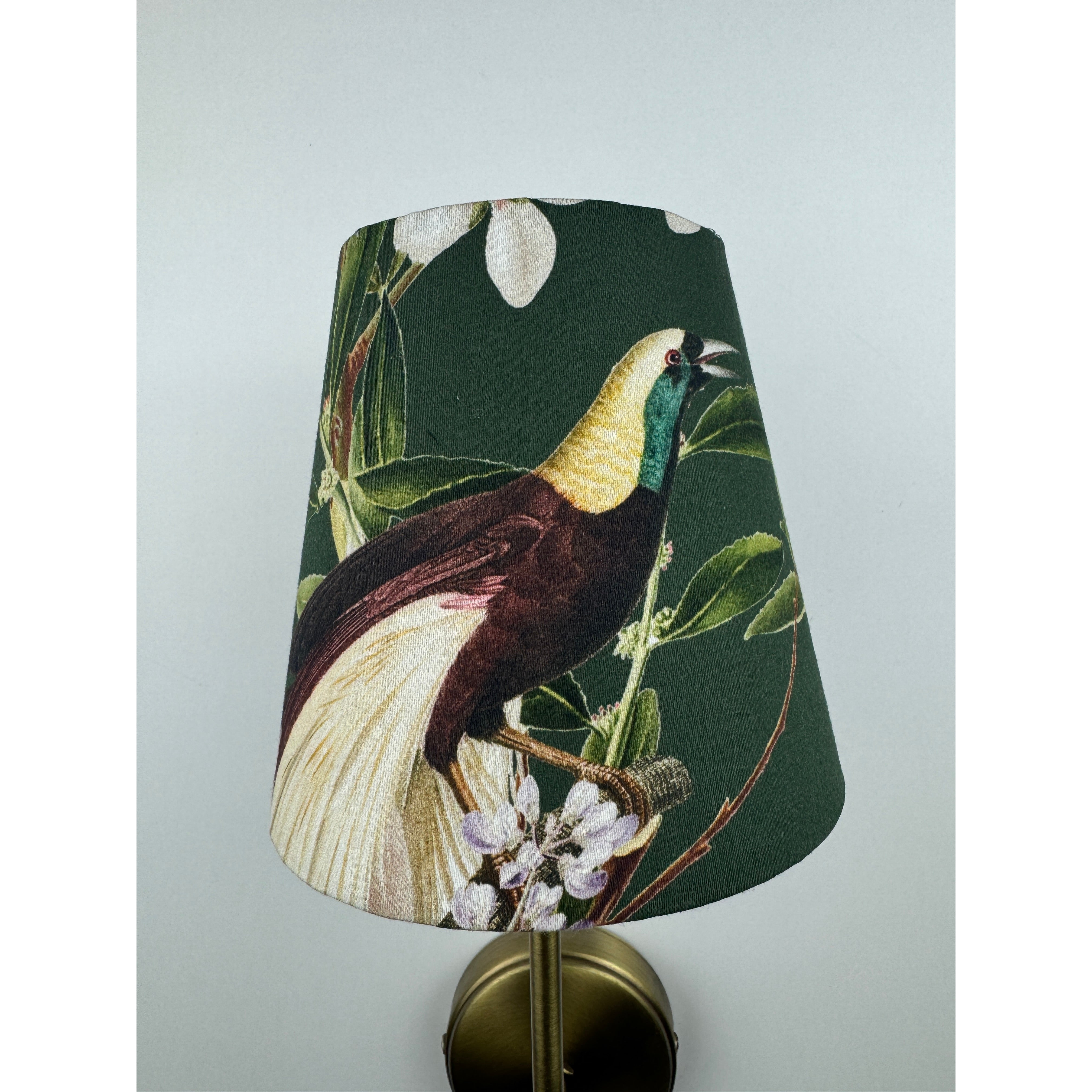 Clara Aplik Peacock