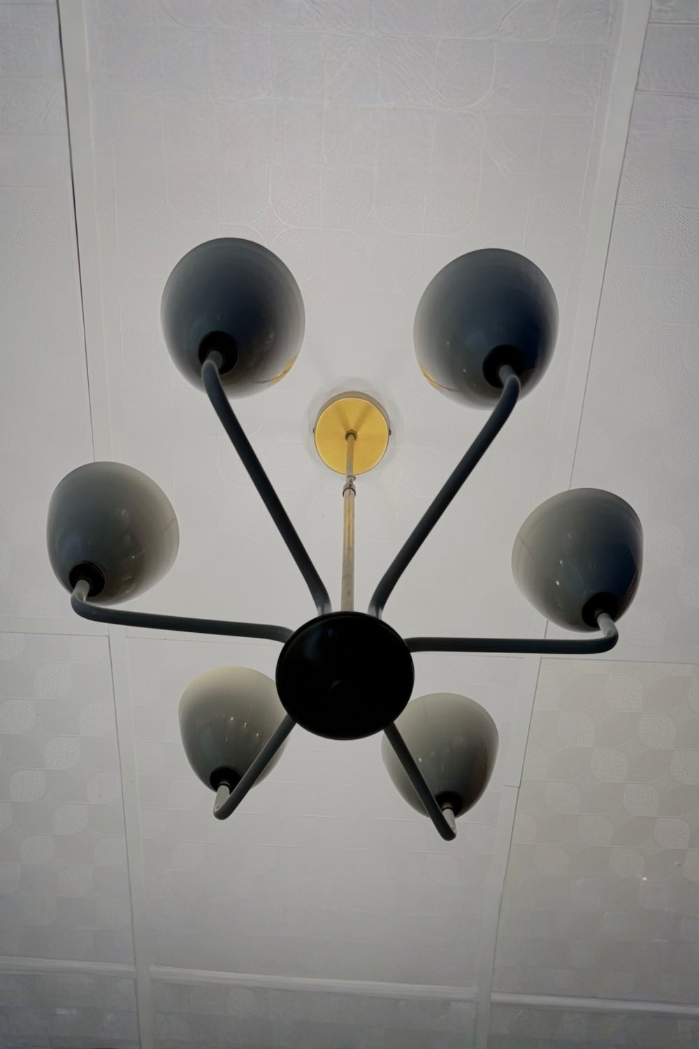 Motto Home Design-Lola Modern Avize 6'li-Avize-3-Milagron.com