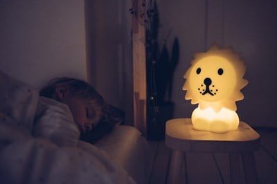 Lion Lamba First Light
