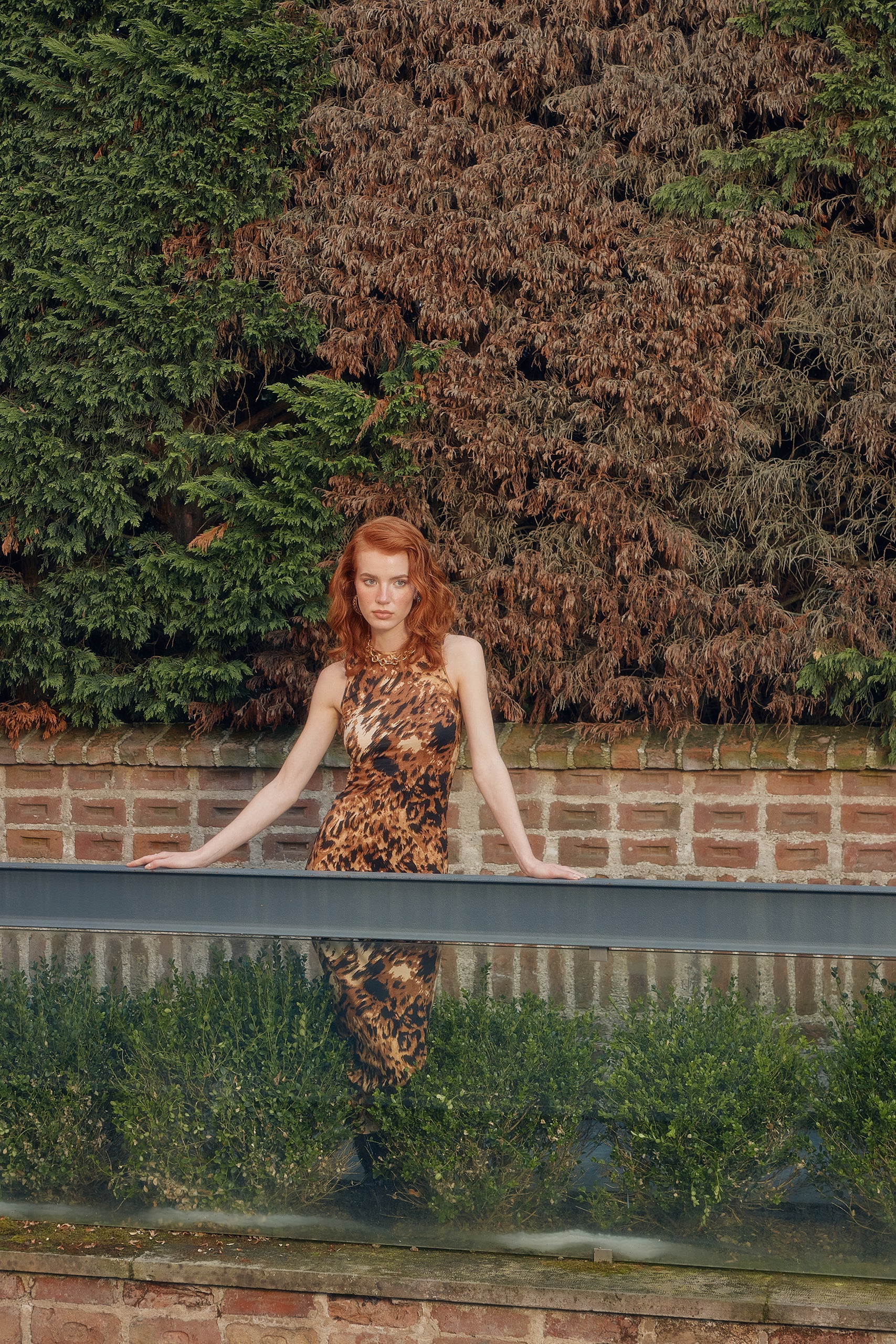 Naia-Parisa Elbise / Kahverengi Leopar Desenli-Elbise-2-Milagron.com