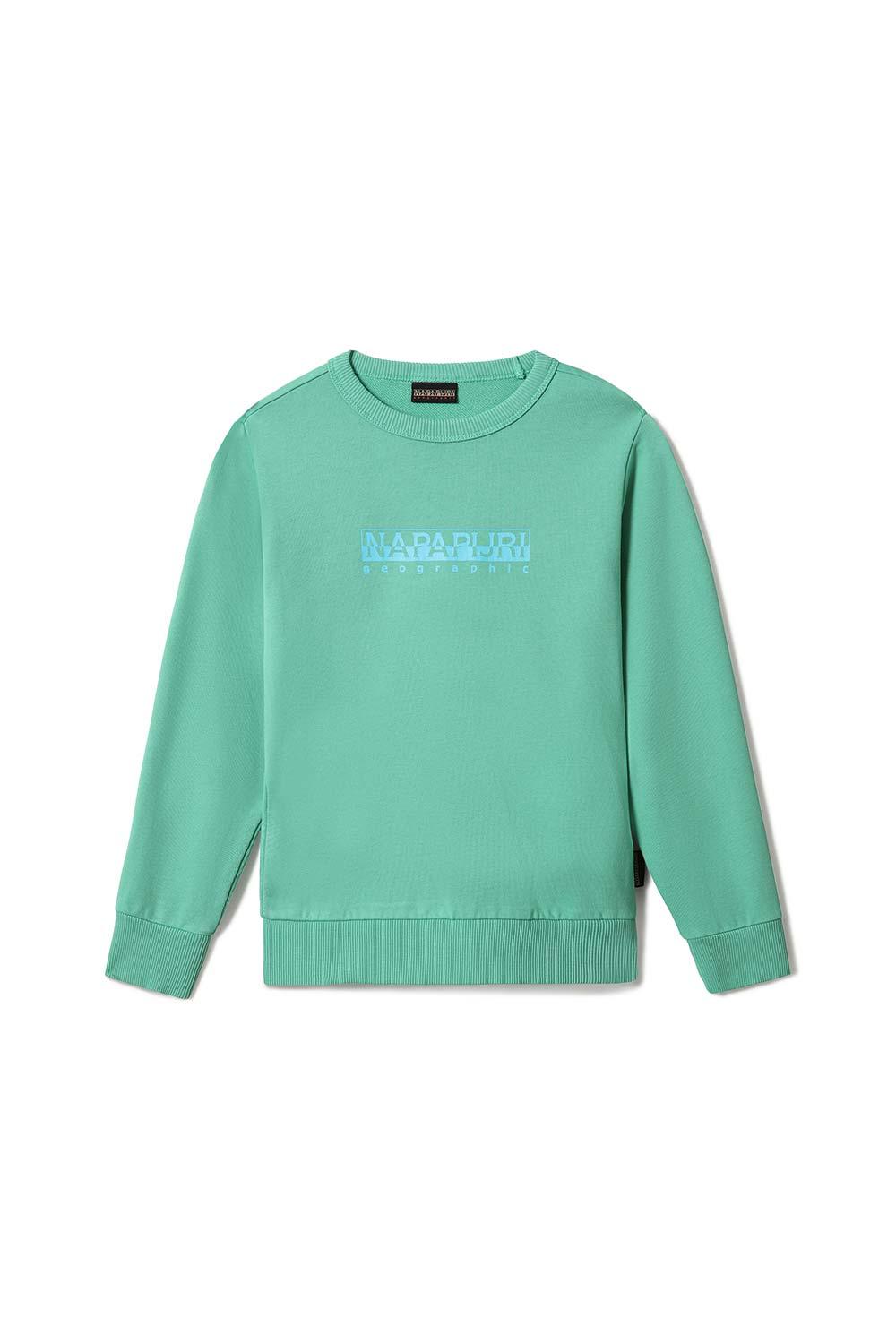 Napapijri-Kids B-Box C 1 Green Spruce-Sweatshirts & Hoodies-1-Milagron.com