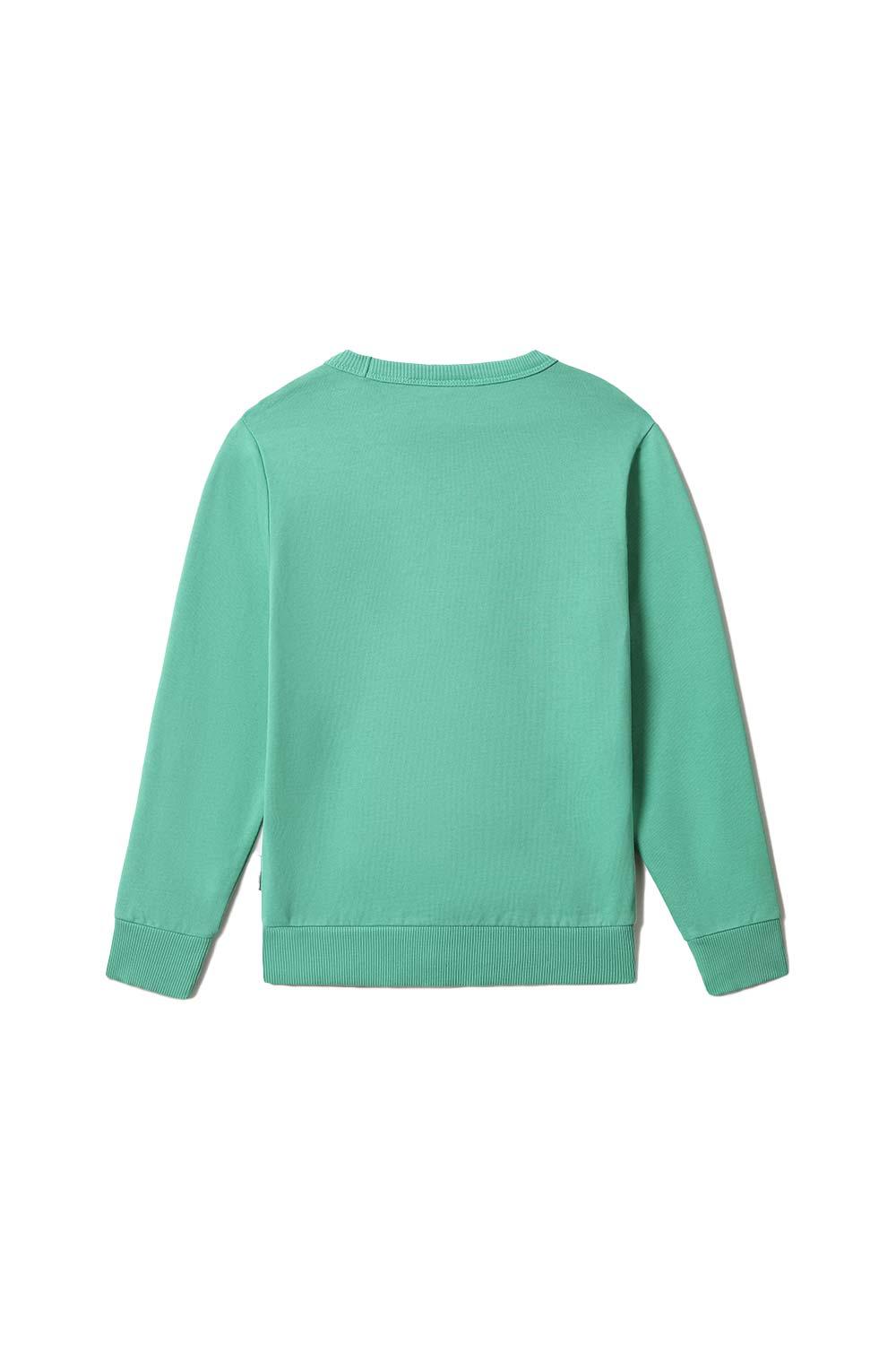 Napapijri-Kids B-Box C 1 Green Spruce-Sweatshirts & Hoodies-3-Milagron.com