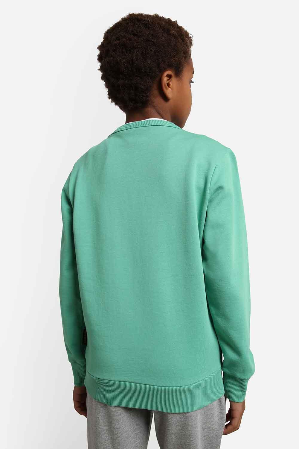 Napapijri-Kids B-Box C 1 Green Spruce-Sweatshirts & Hoodies-4-Milagron.com