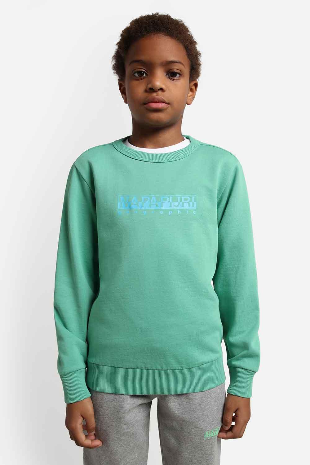 Napapijri-Kids B-Box C 1 Green Spruce-Sweatshirts & Hoodies-6-Milagron.com
