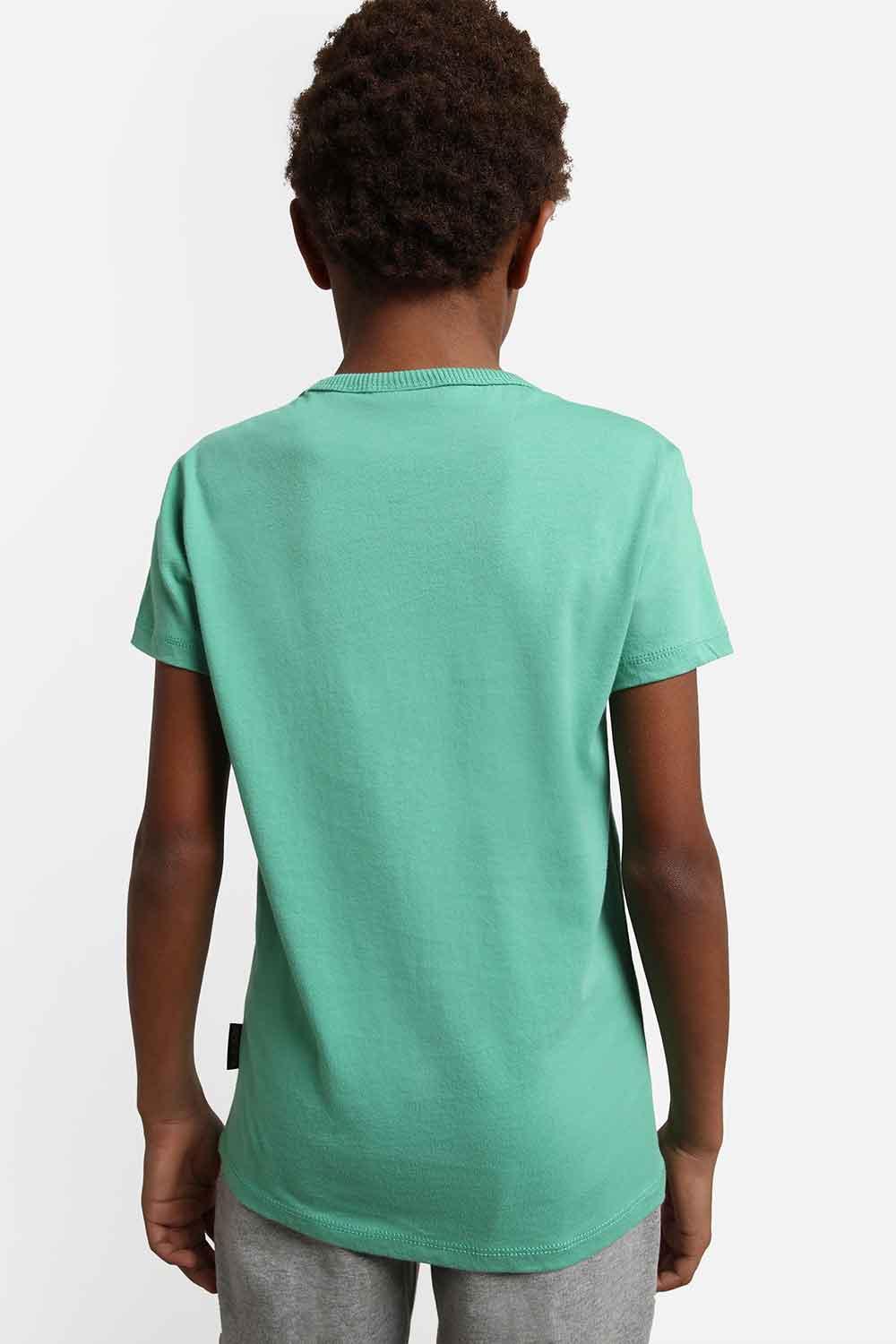 Napapijri-Short Sleeve T-Shirt Box Green Spruce-T-Shirts-4-Milagron.com