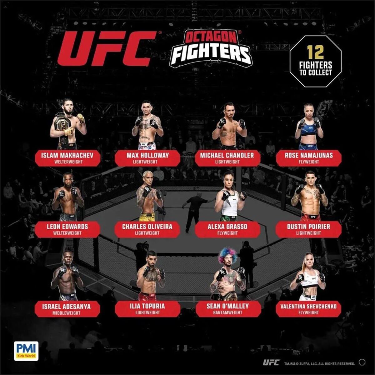 Pmi/Ufc2009