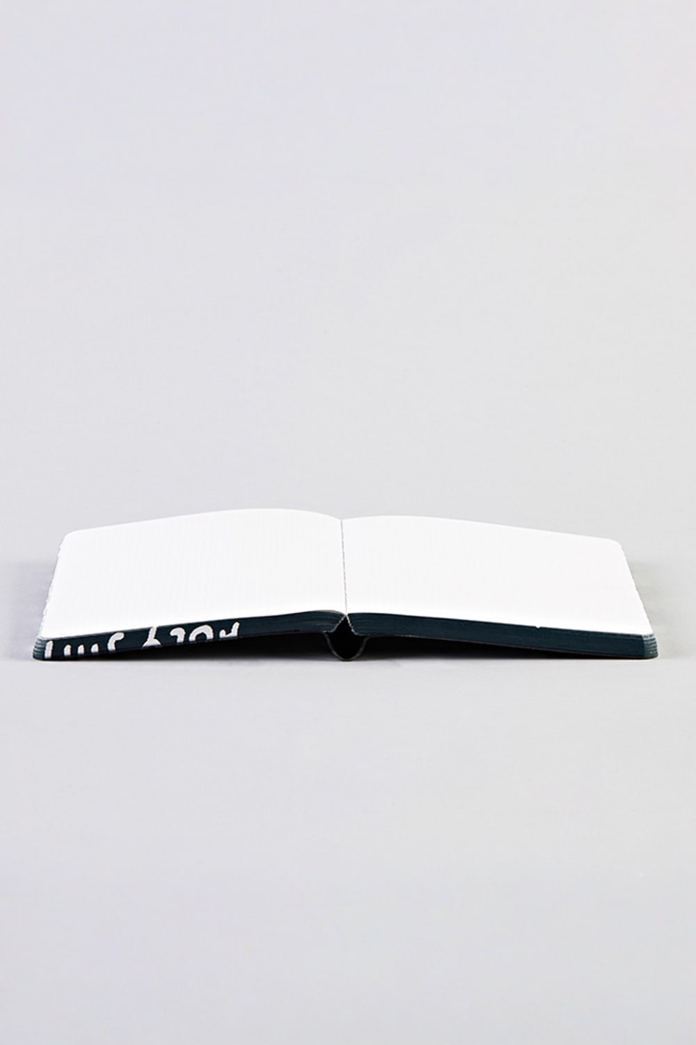 Nuuna-Nuuna Graphic S Defter - Holy Shit-Defter-3-Milagron.com