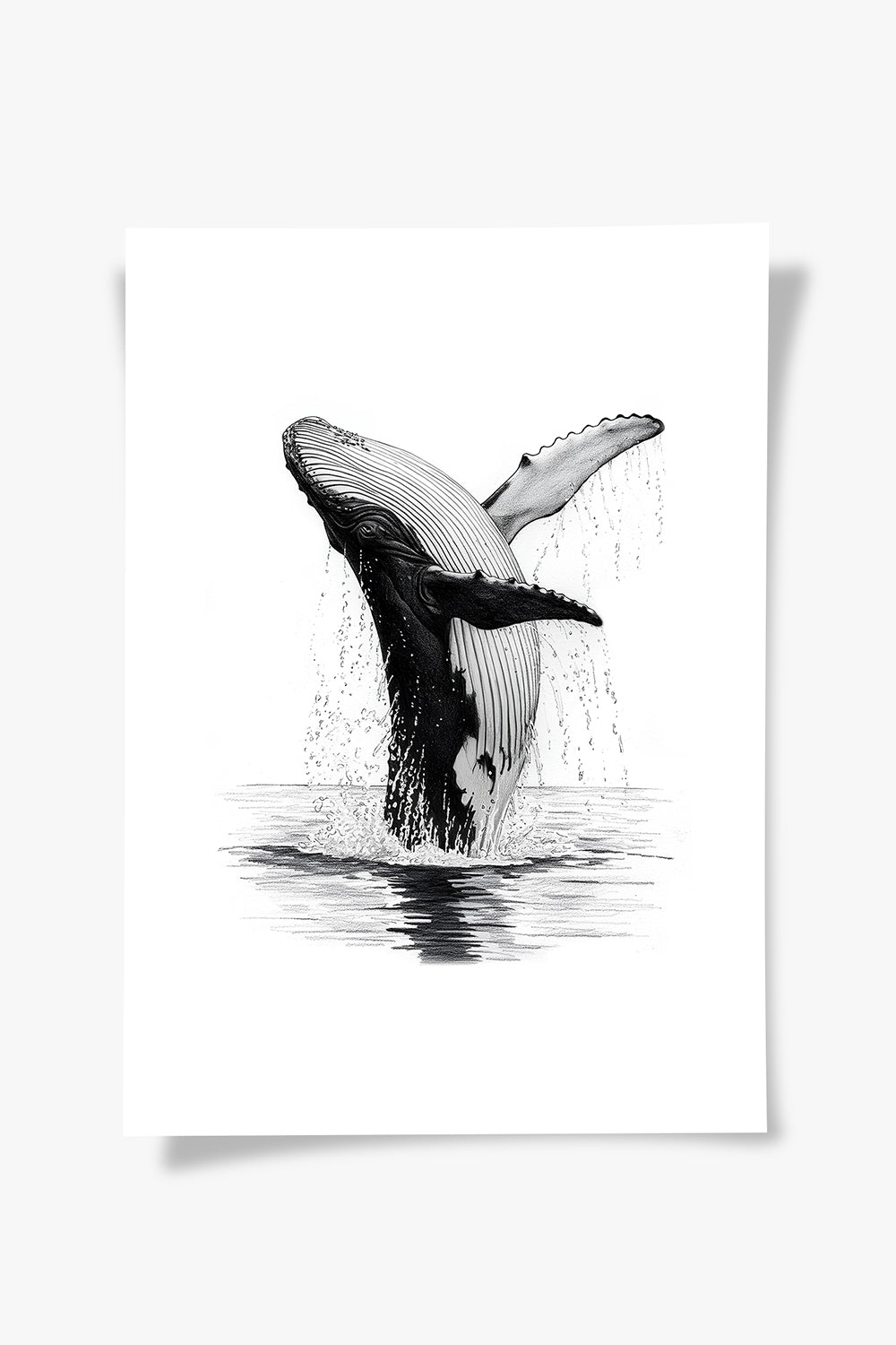 Karakalem Koleksiyonu Balina Posteri - 4