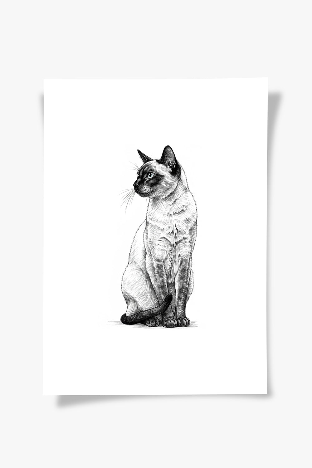 Karakalem Koleksiyonu Kedi Posteri - 4