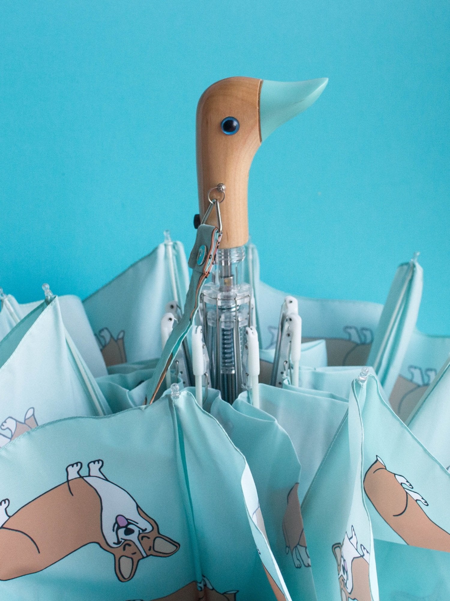 Original Duckhead-Original Duckhead Duck Kompakt şemsiye Corgi Mint Compact-Şemsiye-4-Milagron.com