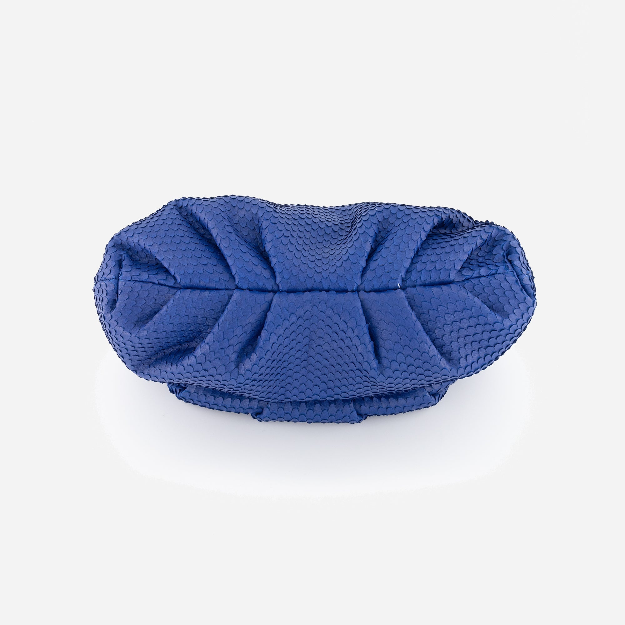 Otrera-Leda Snake - Blue-Clutch-3-Milagron.com