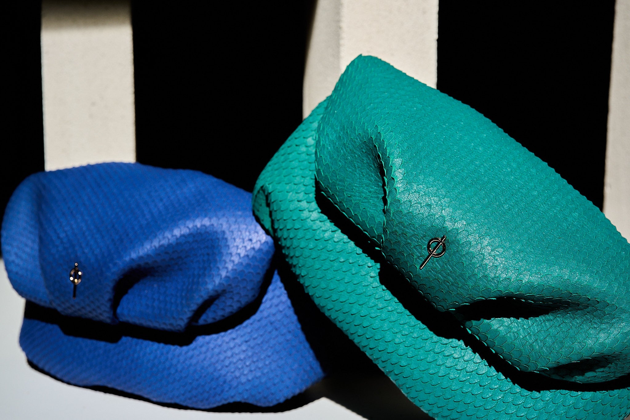 Otrera-Leda Snake - Blue-Clutch-5-Milagron.com