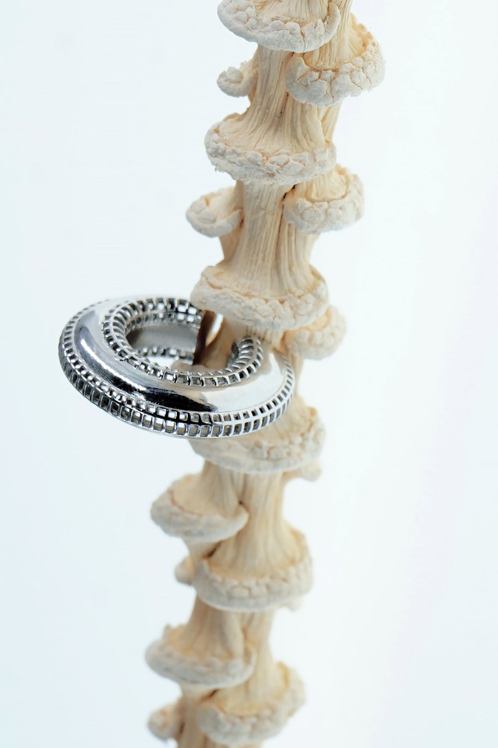 PACAL-Eclipse Kıkırdak Küpesi-Küpe-5-Milagron.com