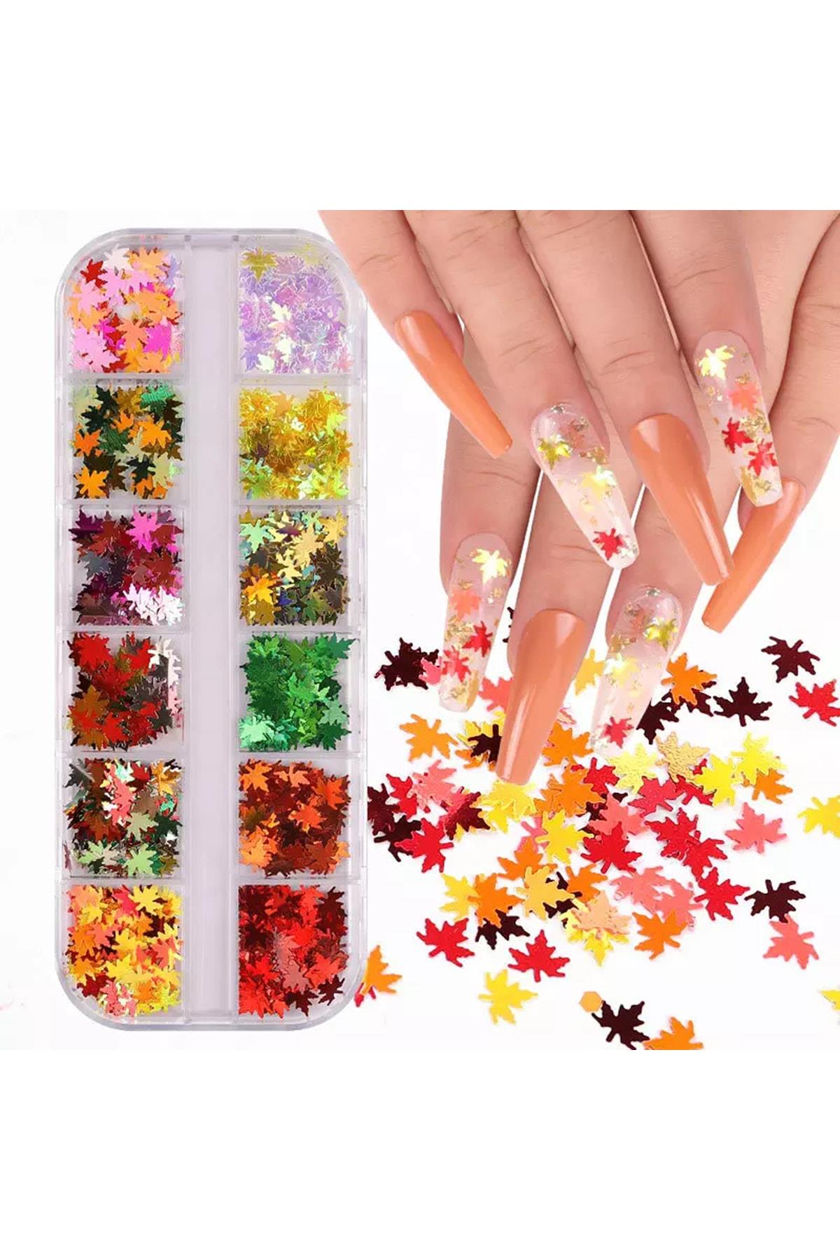POP Beauty-Nail Art Tırnak Süsleme Pul Seti Yapraklı-Takma Tırnak ve Aksesuarları-1-Milagron.com