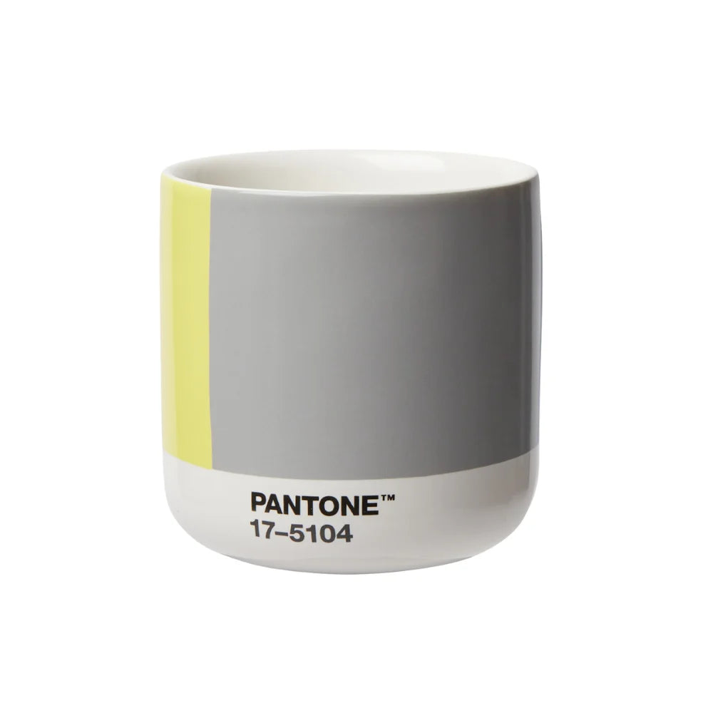 Pantone 17-5104, 13-0647 C21 Sarı - Gri Cortado Mug + Hediye Kutusu