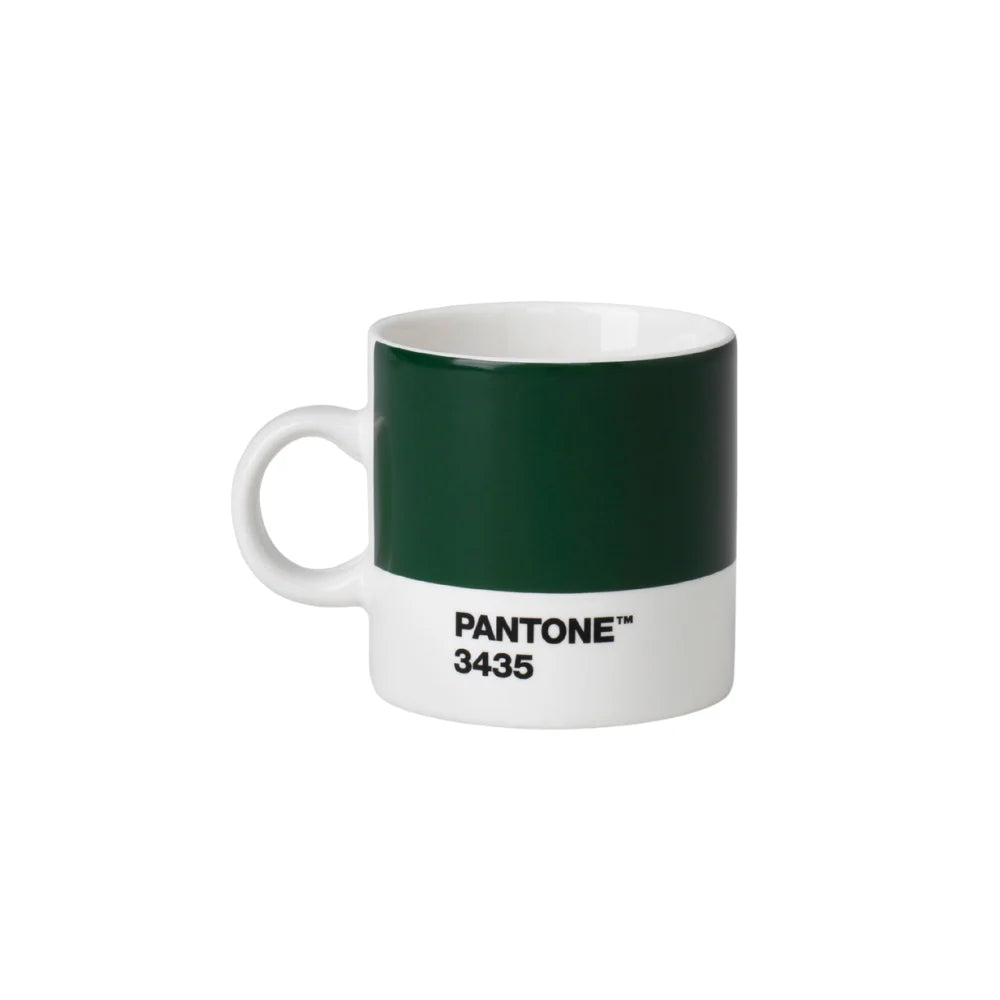 Pantone 3435 Koyu Yeşil Porselen Espresso Fincanı