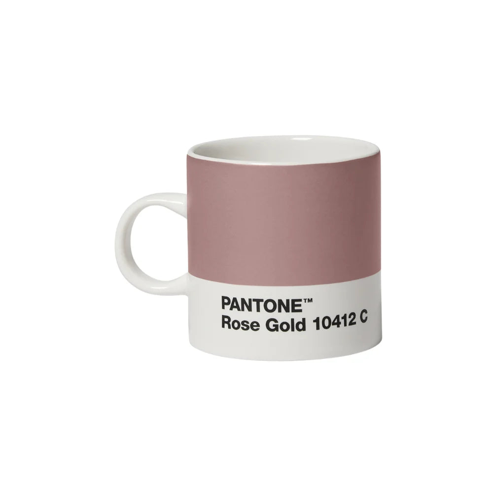 Pantone Rose Gold 10412 Gül Kurusu Porselen Espresso Fincanı