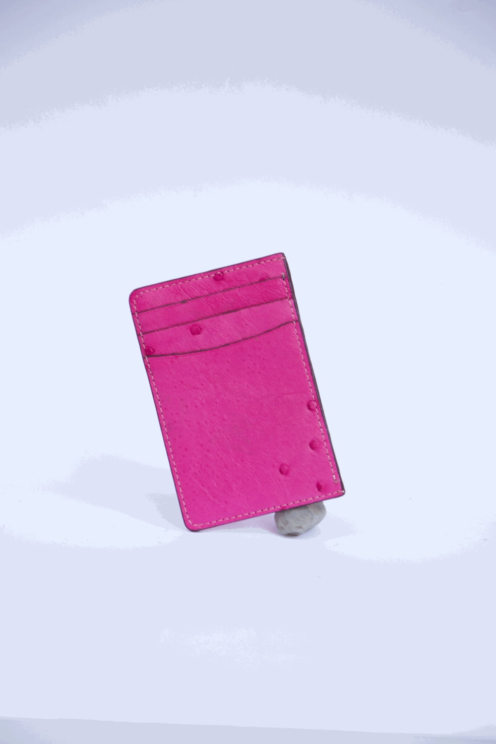 Parchfashion-Devekuşu Deri Kartlık No 3-Cüzdan & Kartlık-1-Milagron.com