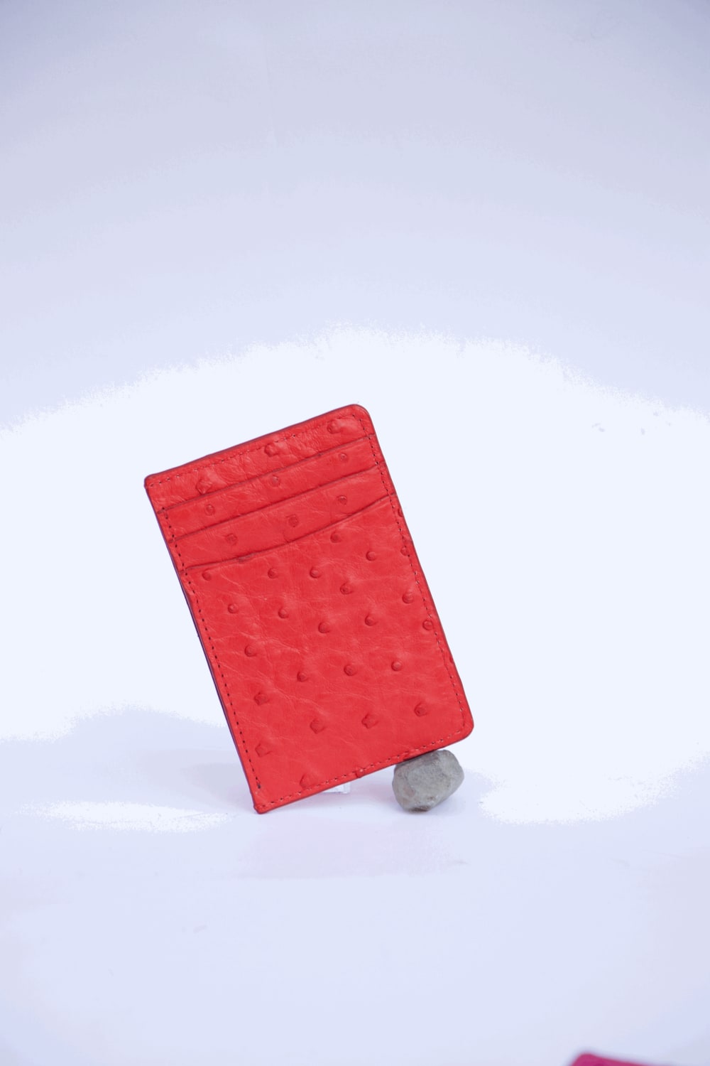 Parchfashion-Devekuşu Deri̇ Kartlık No 3-Cüzdan & Kartlık-1-Milagron.com