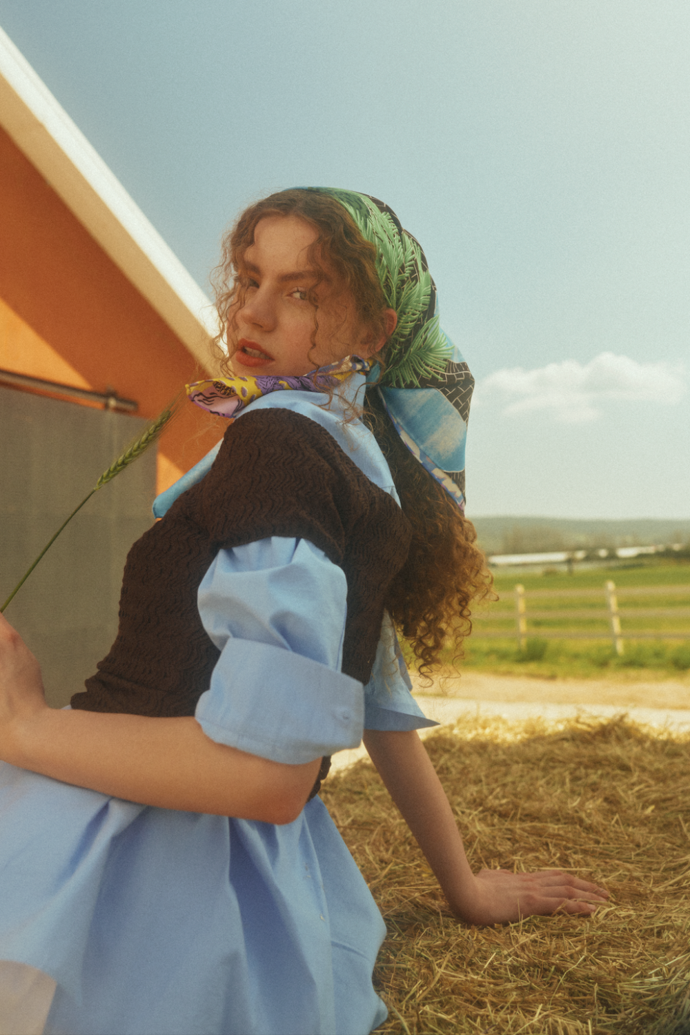 Parrmuse-İpek Fular - Kephalos & Prokris-Şal & Fular-4-Milagron.com