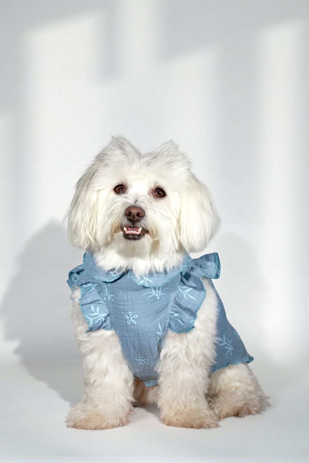 Müslin Nakış Detay Köpek Kıyafeti - 0