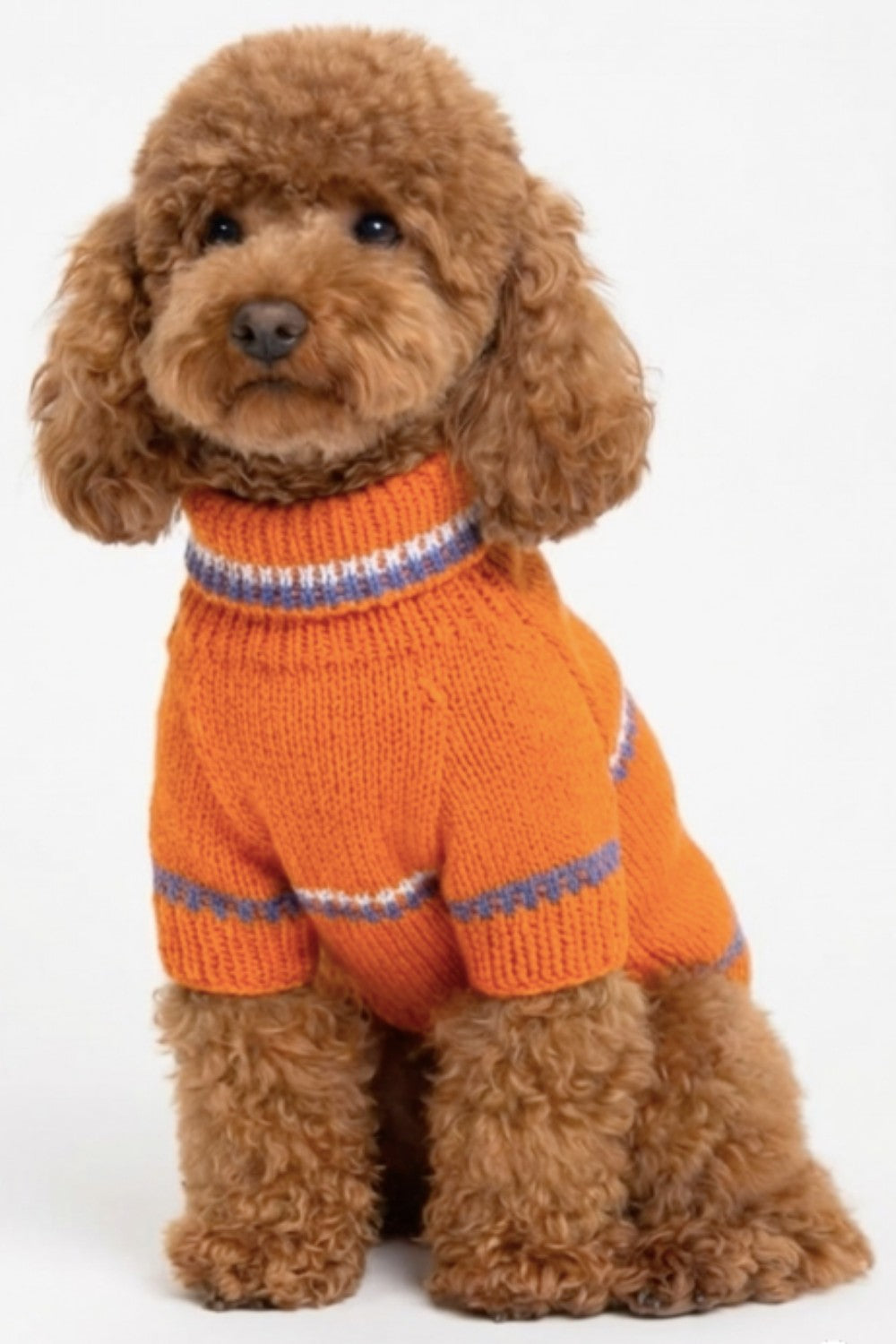 Premium Turuncu Örgü Köpek Kazağı - 0