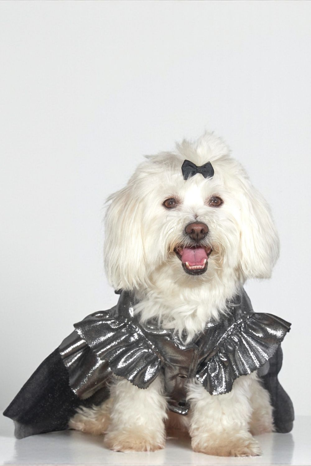 Tül Detaylı Metalik Köpek Elbisesi - 0