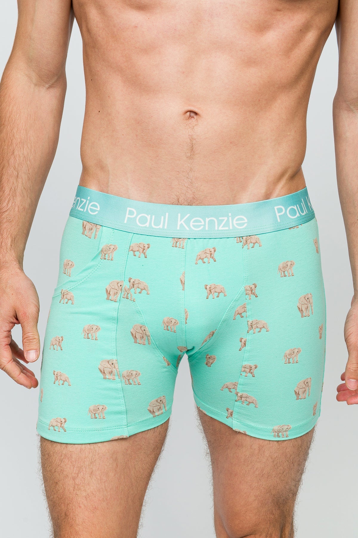 Paul Kenzie-Cepli Erkek Boxer Elephantastic Pockets-Boxer-6-Milagron.com