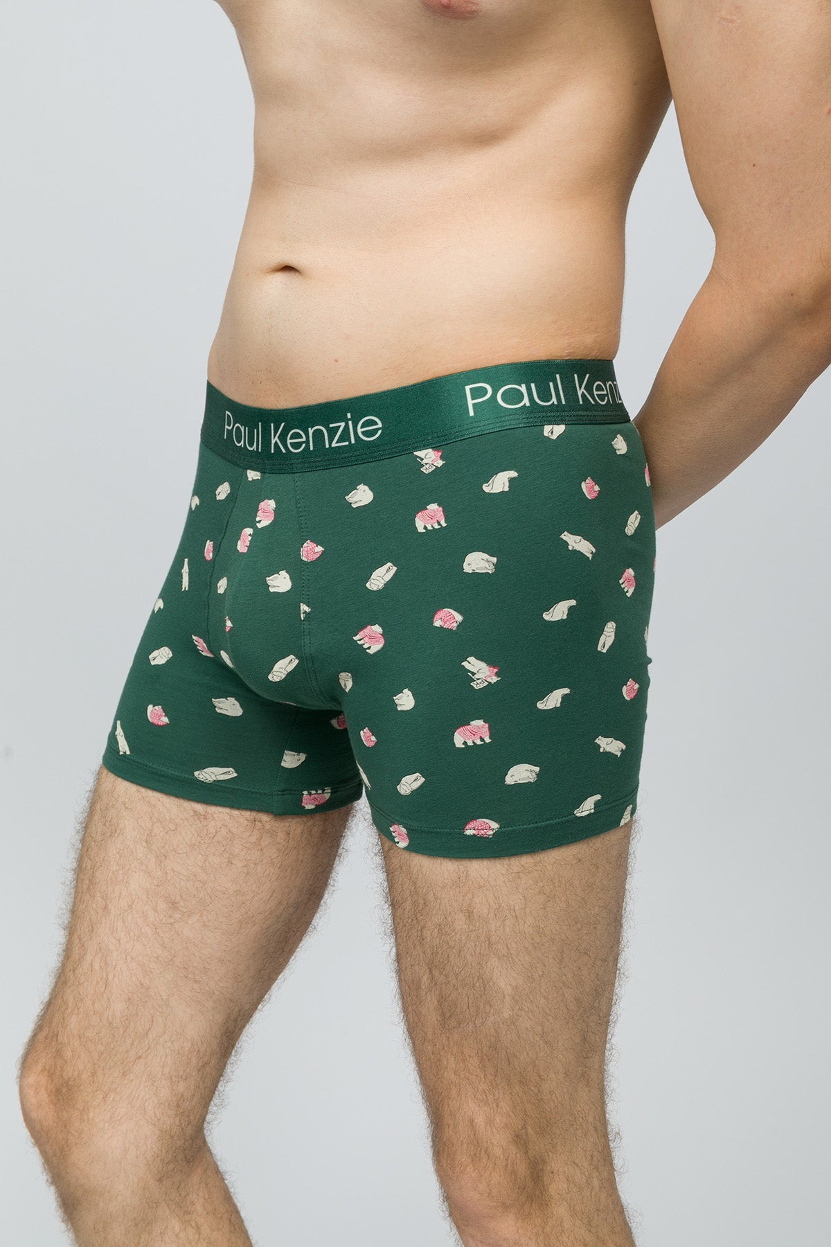 Paul Kenzie-Christmas Collection Erkek Boxer Beary-5-Milagron.com