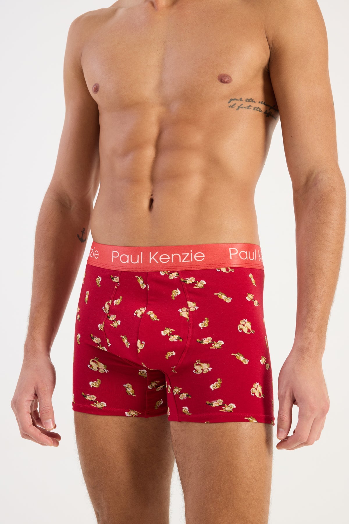 Paul Kenzie-Christmas Collection Erkek Boxer Otter Half-Boxer-5-Milagron.com
