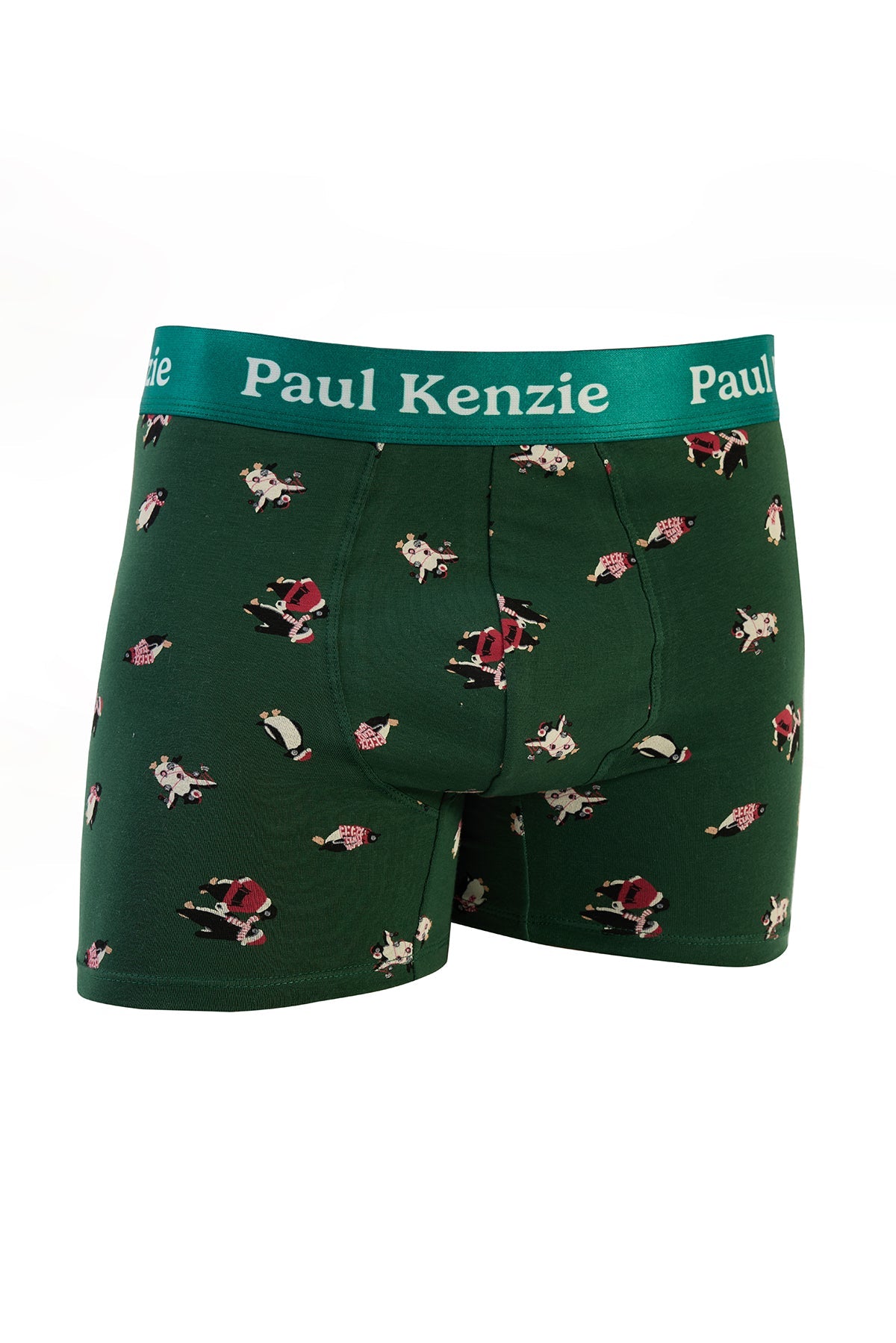 Paul Kenzie-Christmas Collection Erkek Boxer Pengu In Wonderland-Boxer-2-Milagron.com