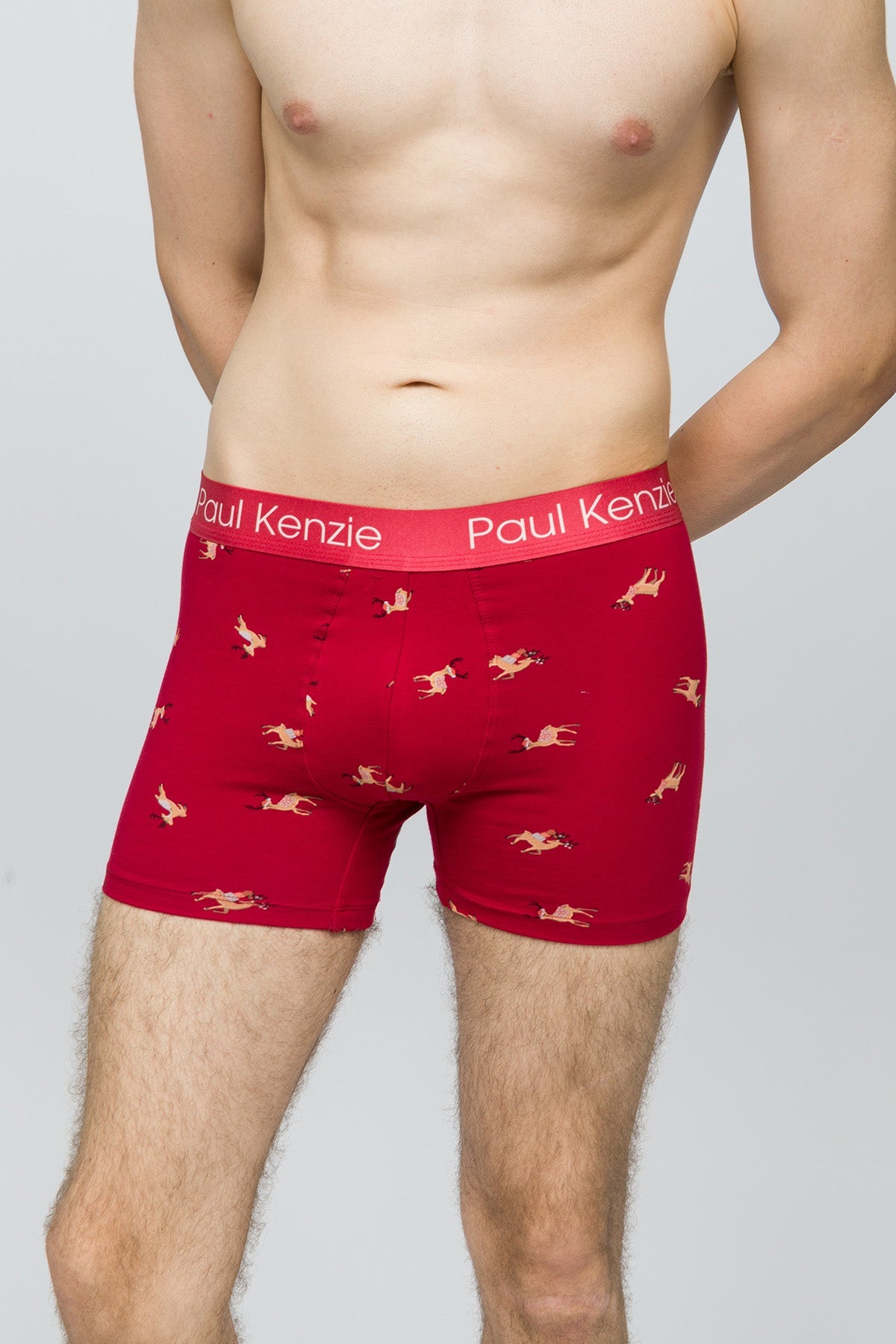 Paul Kenzie-Christmas Collection Erkek Boxer Reindeer Kisses-5-Milagron.com