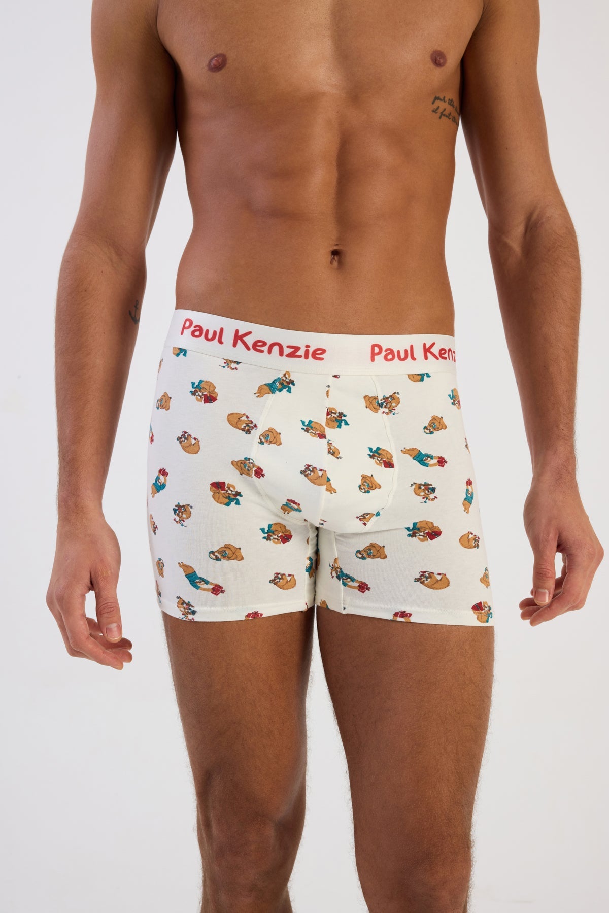 Paul Kenzie-Christmas Collection Erkek Boxer Slothy Christmas-Boxer-5-Milagron.com