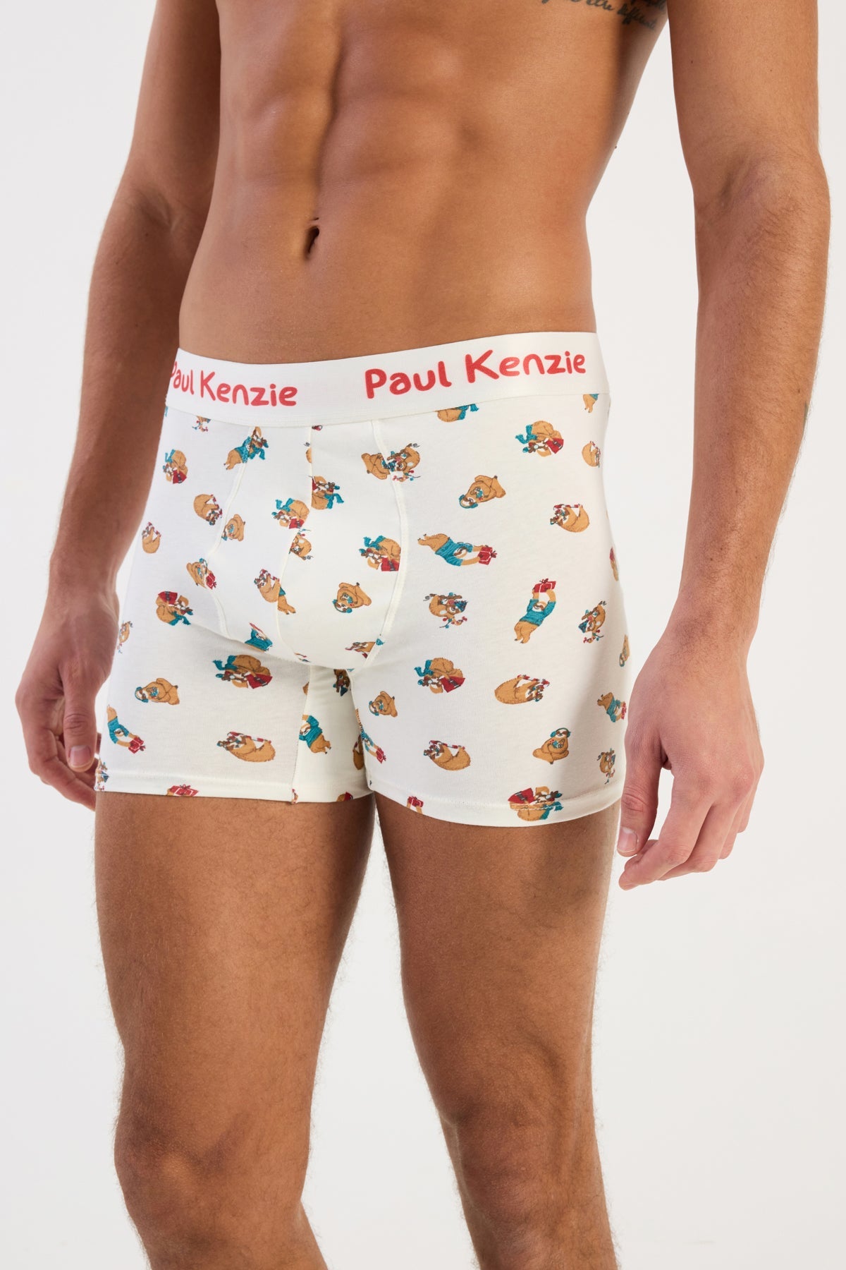 Paul Kenzie-Christmas Collection Erkek Boxer Slothy Christmas-Boxer-6-Milagron.com