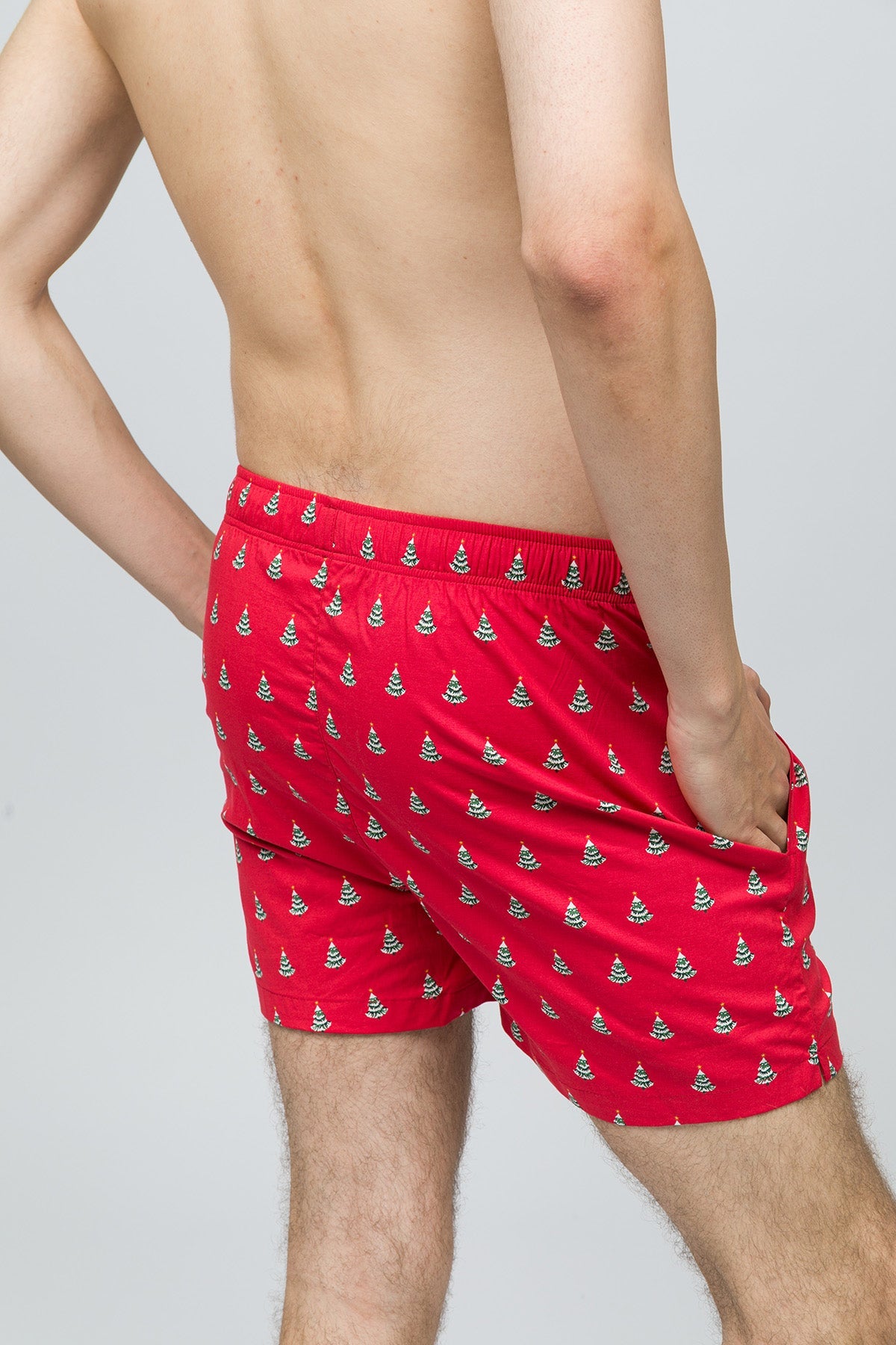 Paul Kenzie-Christmas Collection Erkek Ev şort Pine-8-Milagron.com