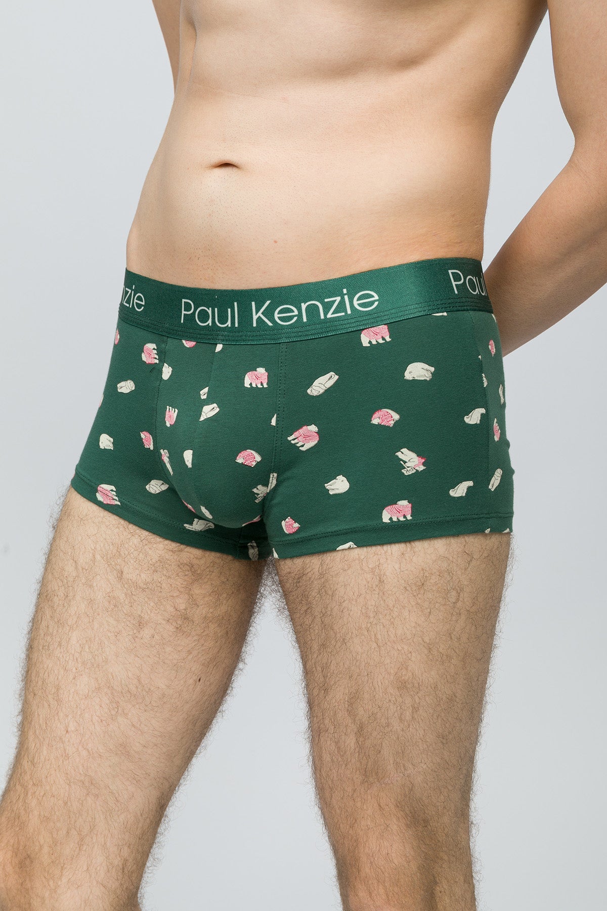 Paul Kenzie-Christmas Collection Erkek Trunk Boxer Beary-5-Milagron.com