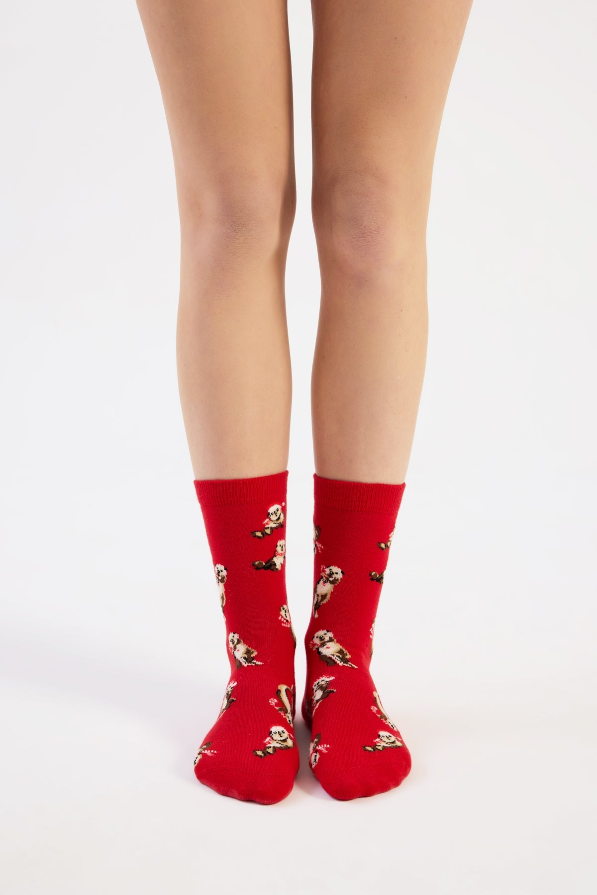 Paul Kenzie-Christmas Collection Soket Çorap Otter Half-Çorap-3-Milagron.com