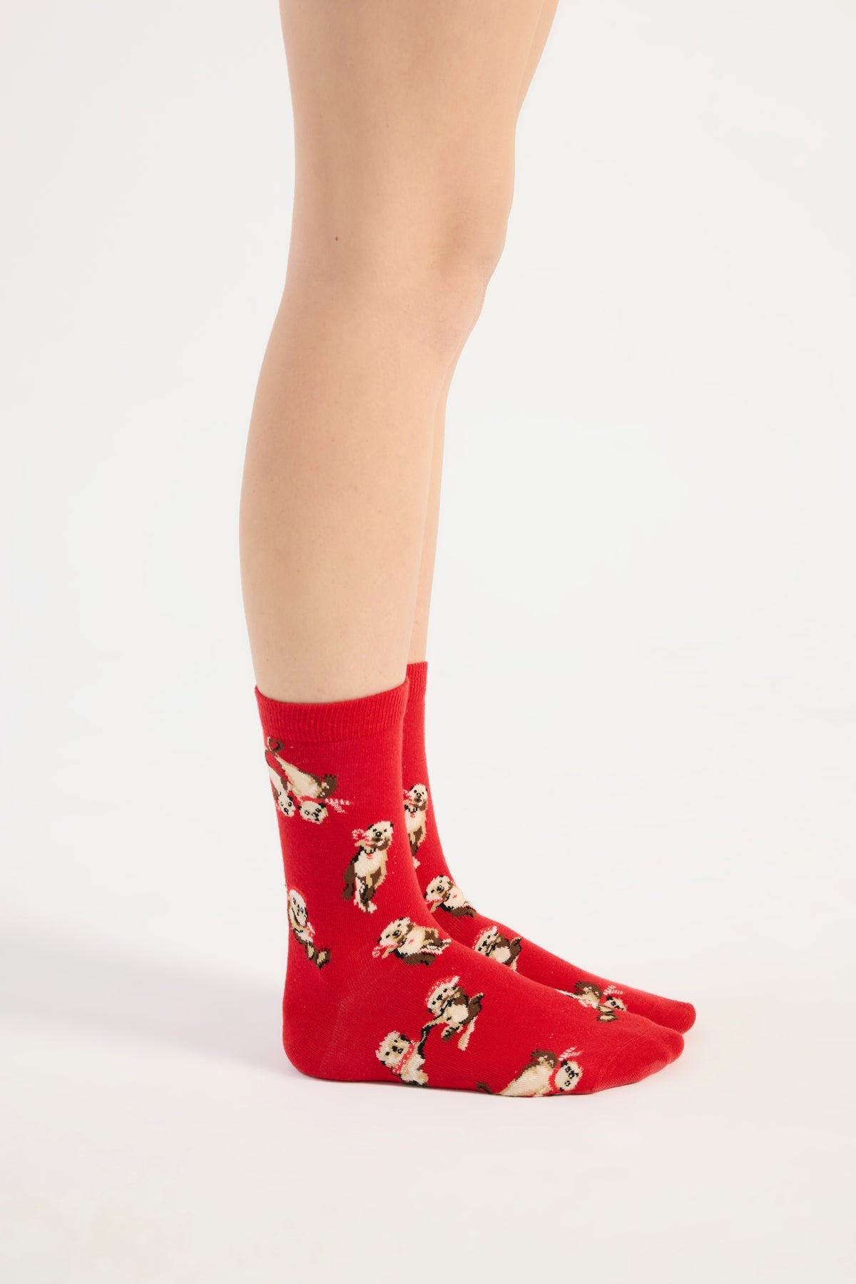 Paul Kenzie-Christmas Collection Soket Çorap Otter Half-Çorap-4-Milagron.com