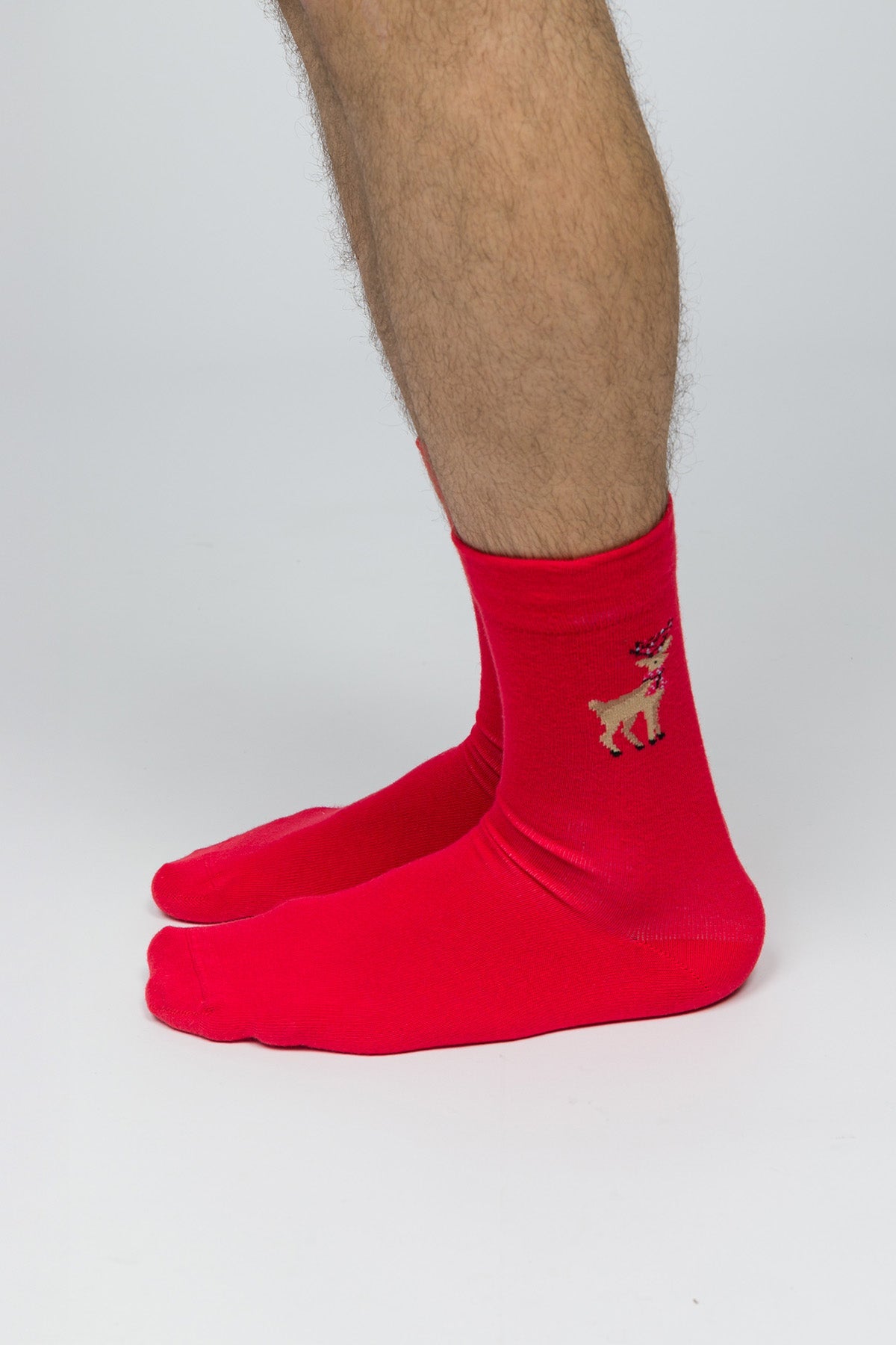 Paul Kenzie-Christmas Collection Soket çorap Reindeer Kisses-4-Milagron.com