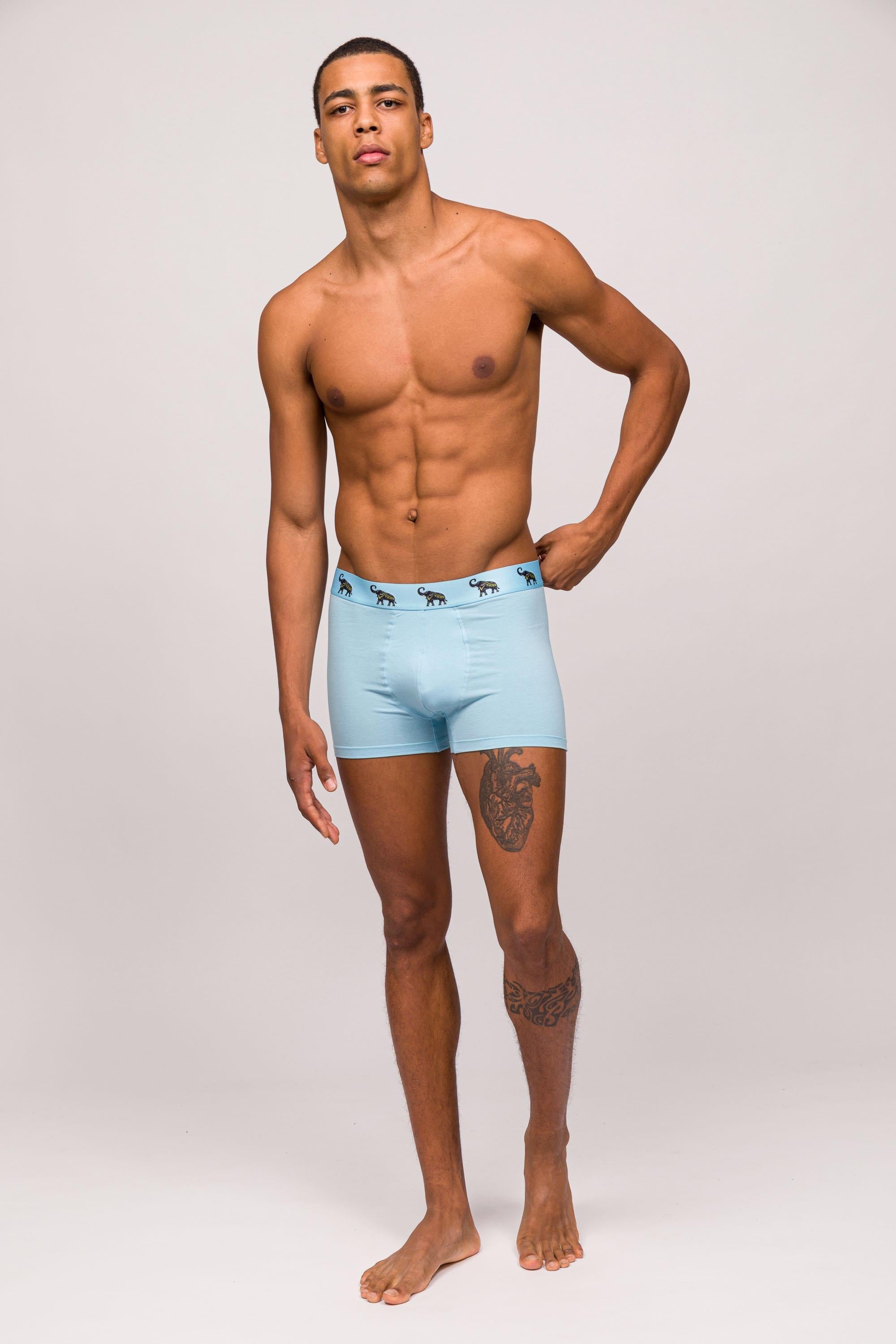 Paul Kenzie-Comfort Flex 3'lü Erkek Boxer Animal-Boxer-4-Milagron.com