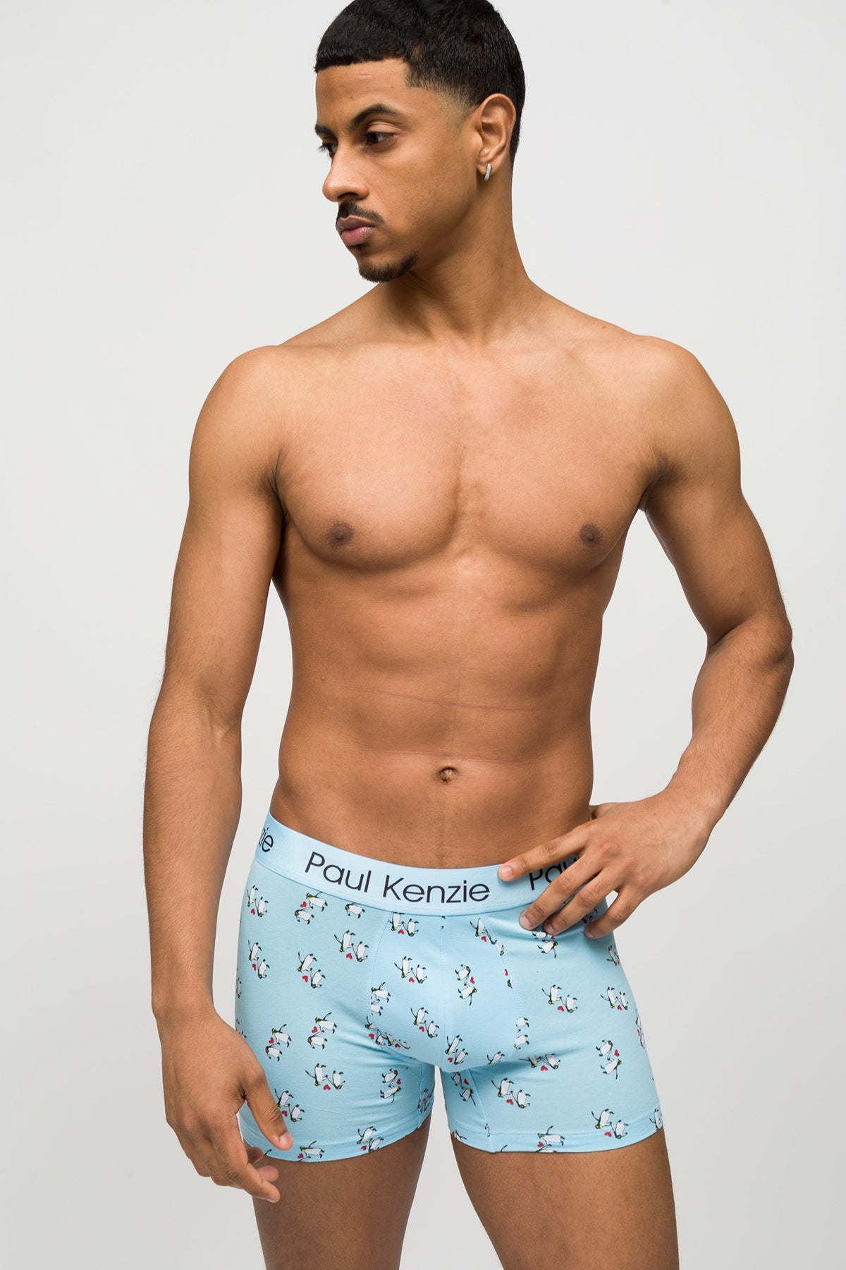 Paul Kenzie-Desenli Erkek Boxer Couple Collection Penguin Love-Boxer-3-Milagron.com