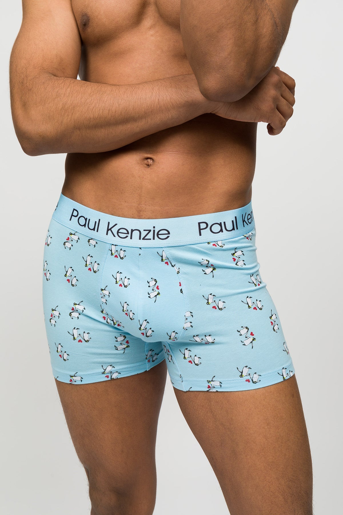 Paul Kenzie-Desenli Erkek Boxer Couple Collection Penguin Love-Boxer-4-Milagron.com